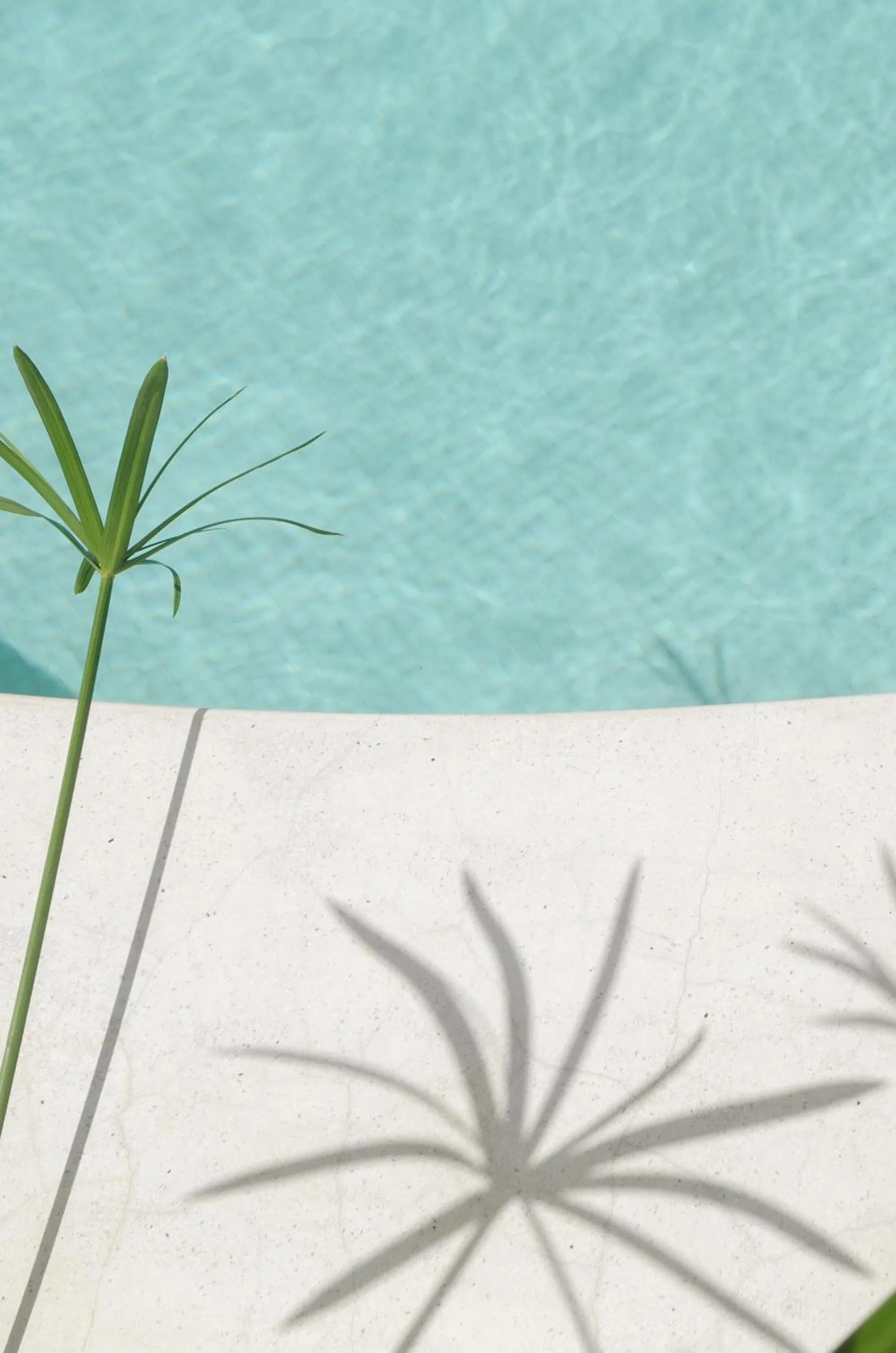 Swimming pool in Las Lupitas Hotel Boutique