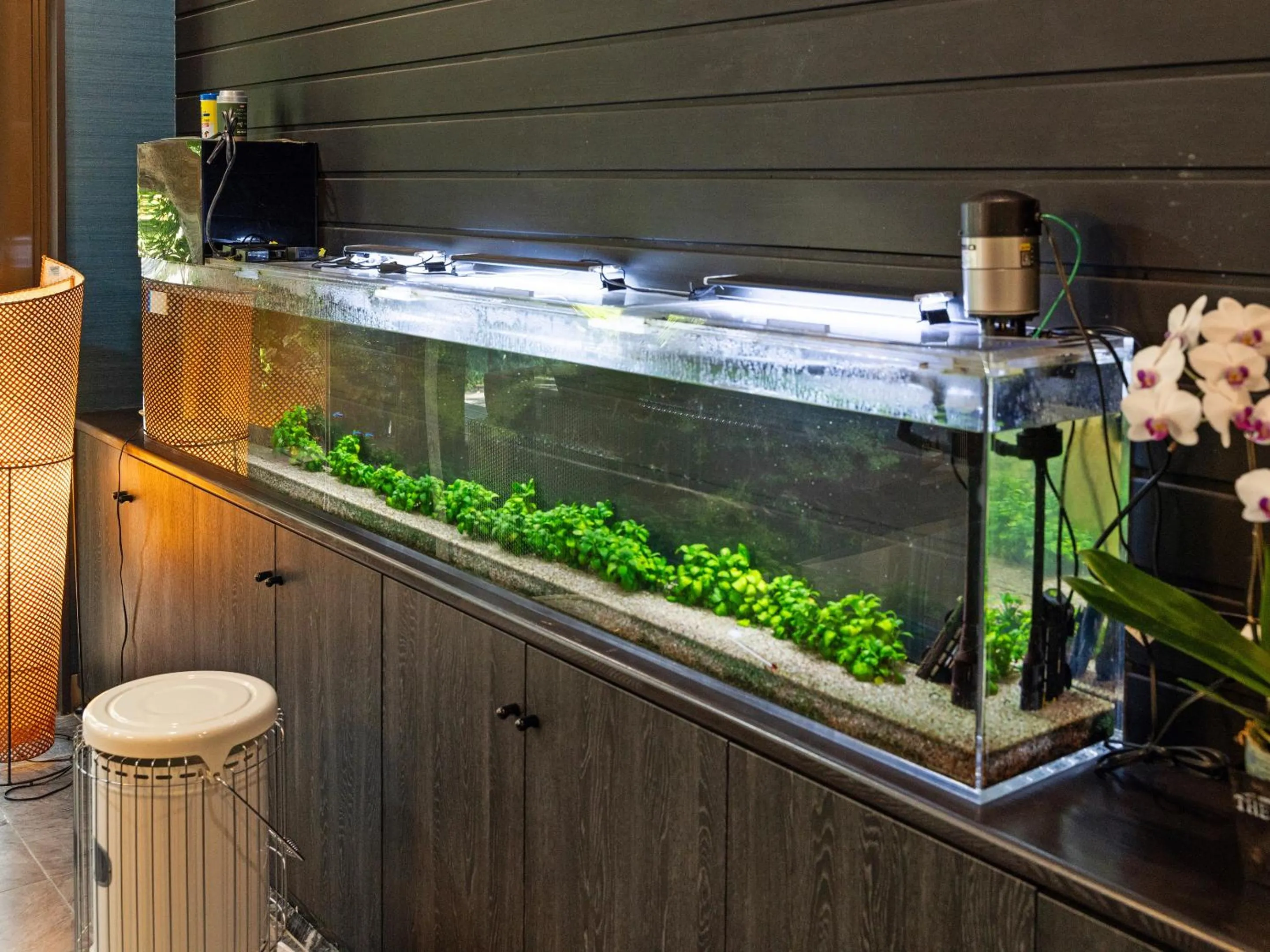 Lobby or reception in SUIHOUEN