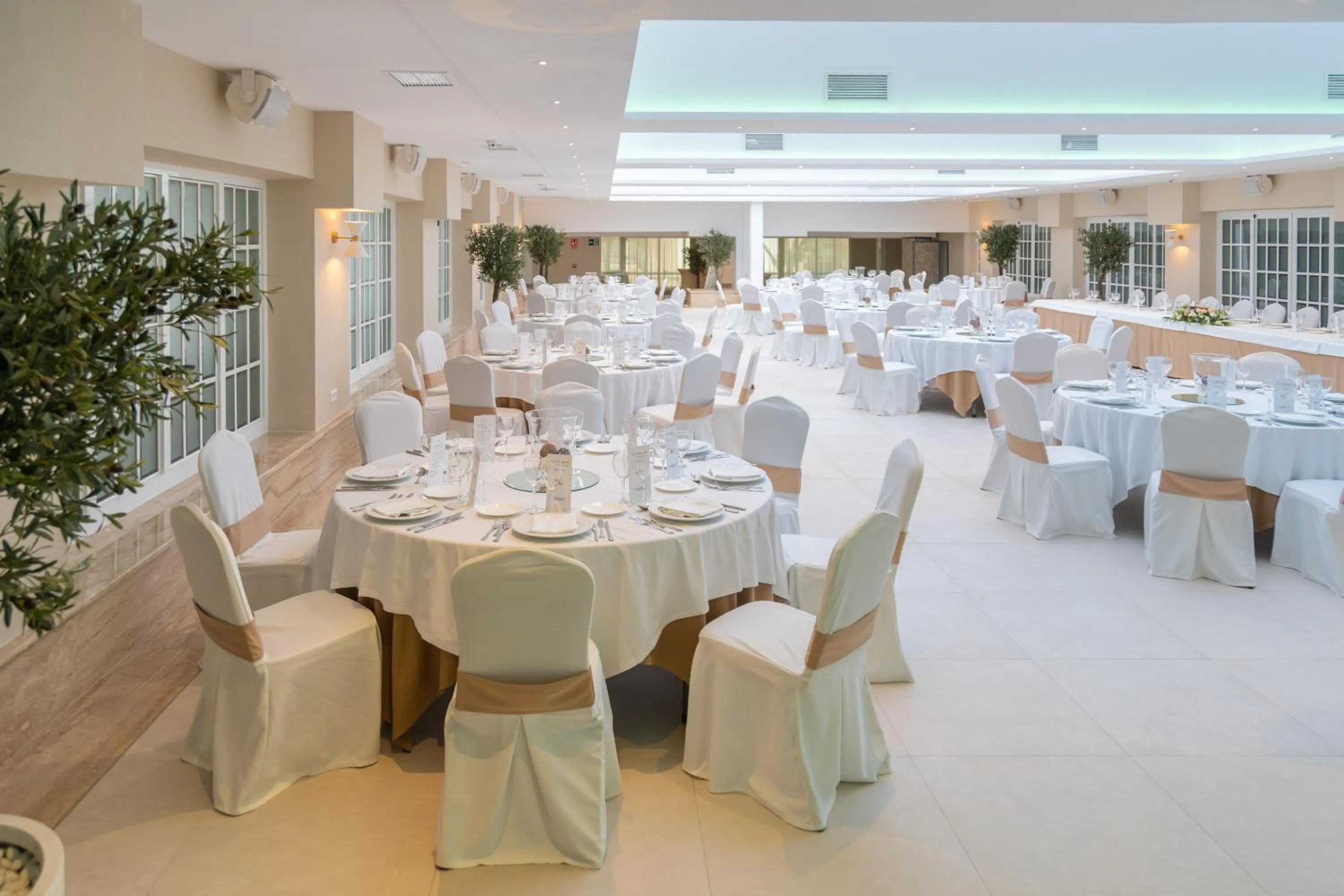 Banquet/Function facilities in Sercotel Carlos III