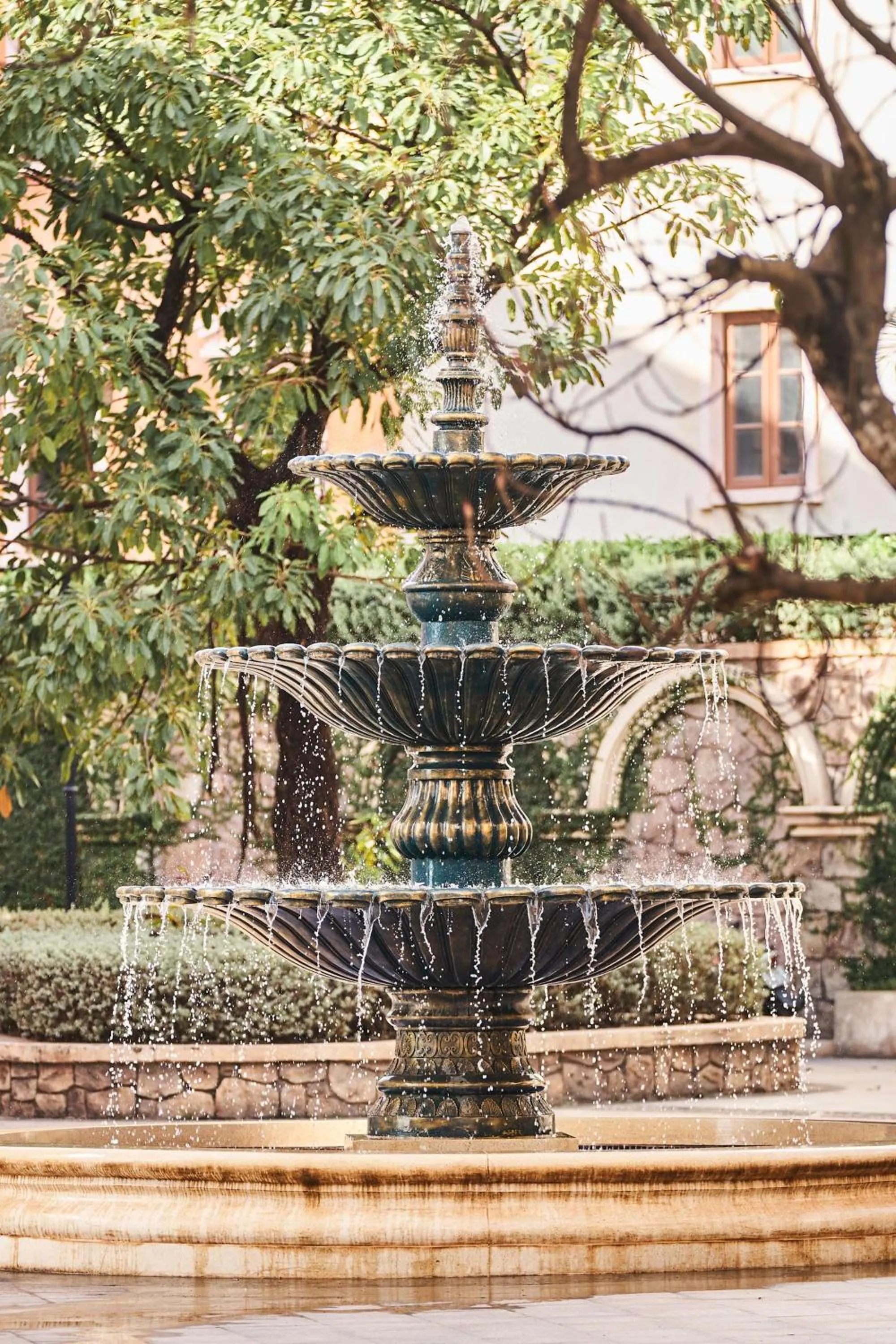 Garden in Times Corner Sorrento Hotel - Complimentary Sunset Town Tour 4pm to 5pm everyday