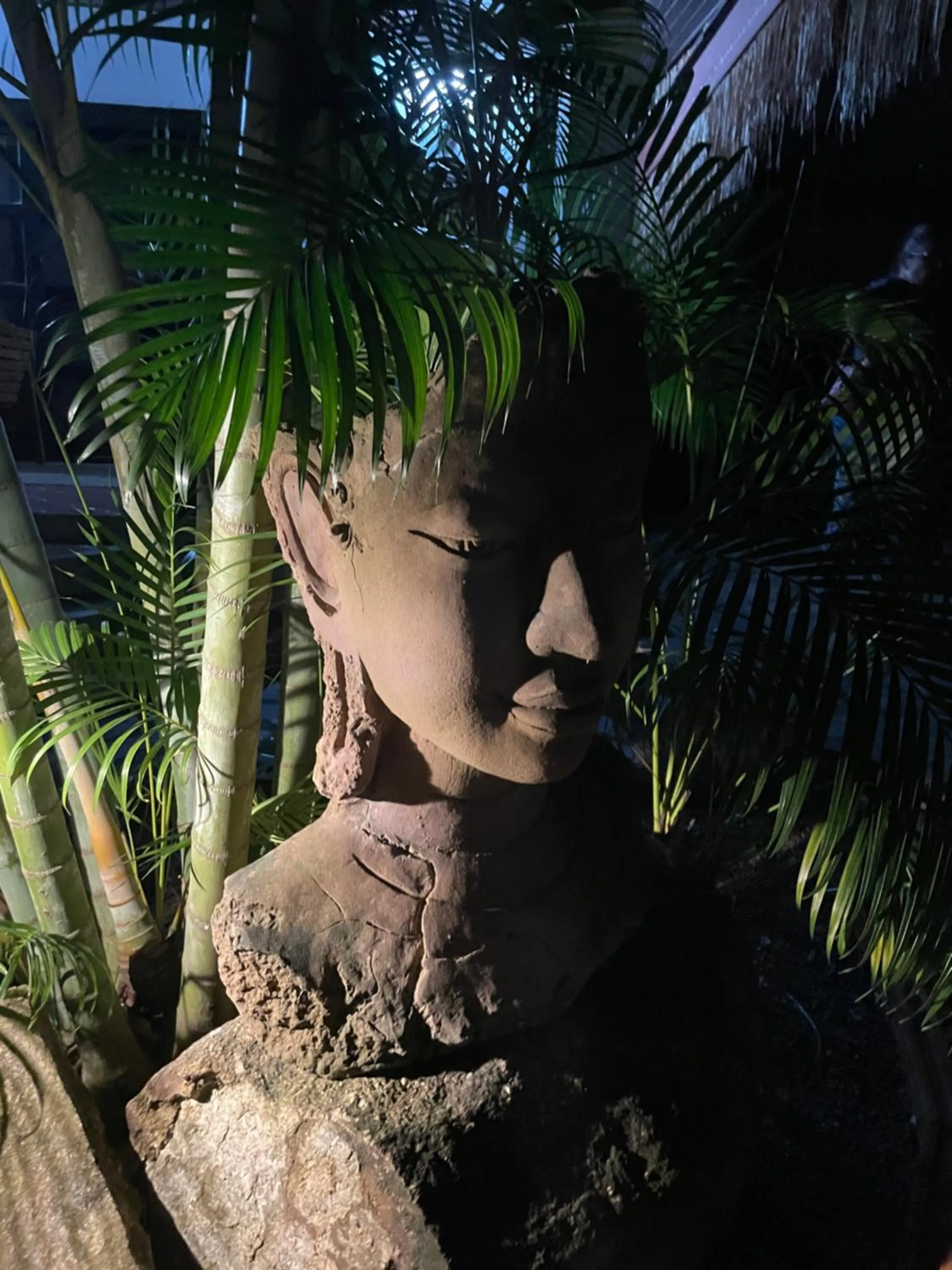 Garden in Jade cottages