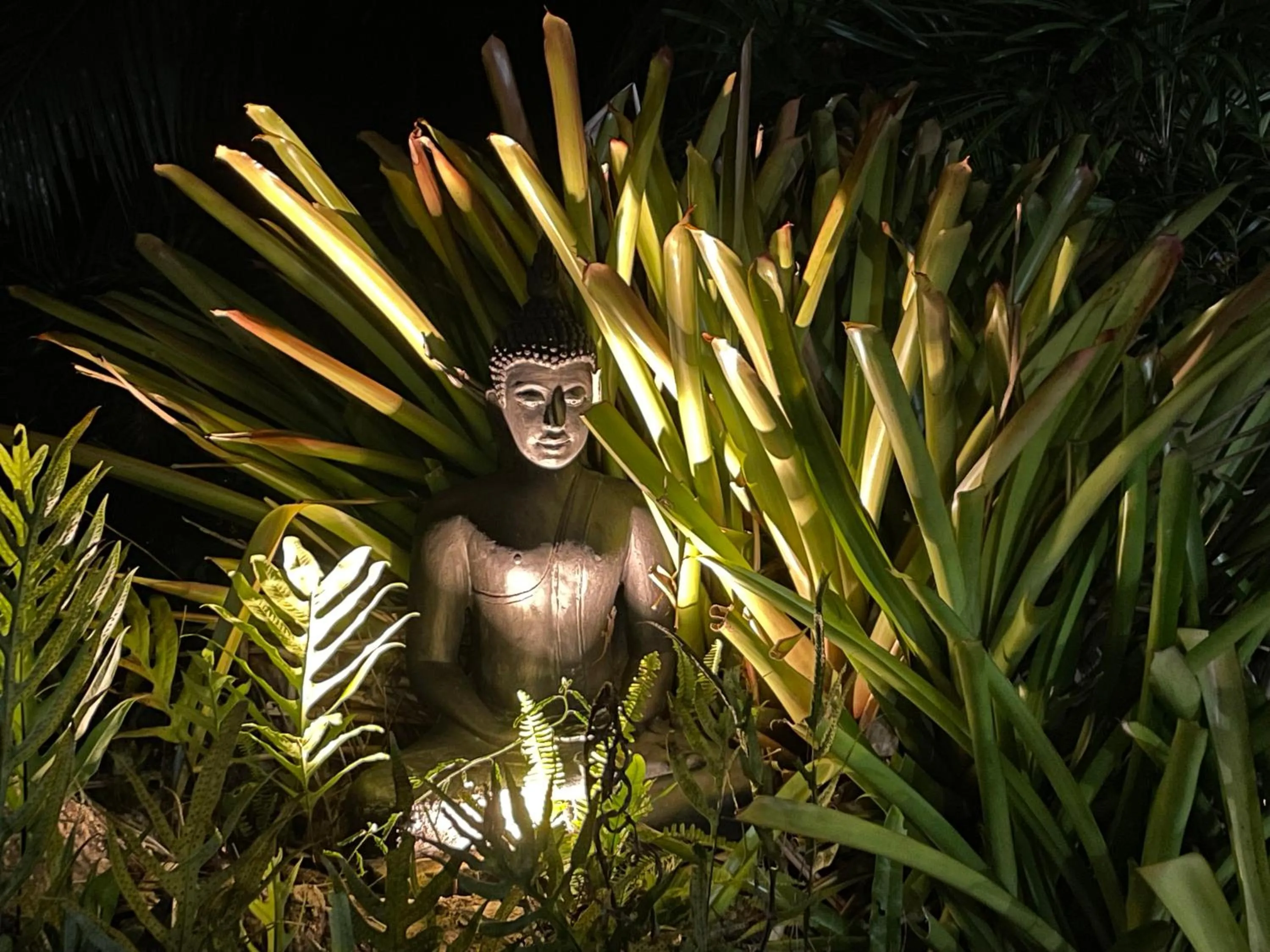 Garden in Jade cottages