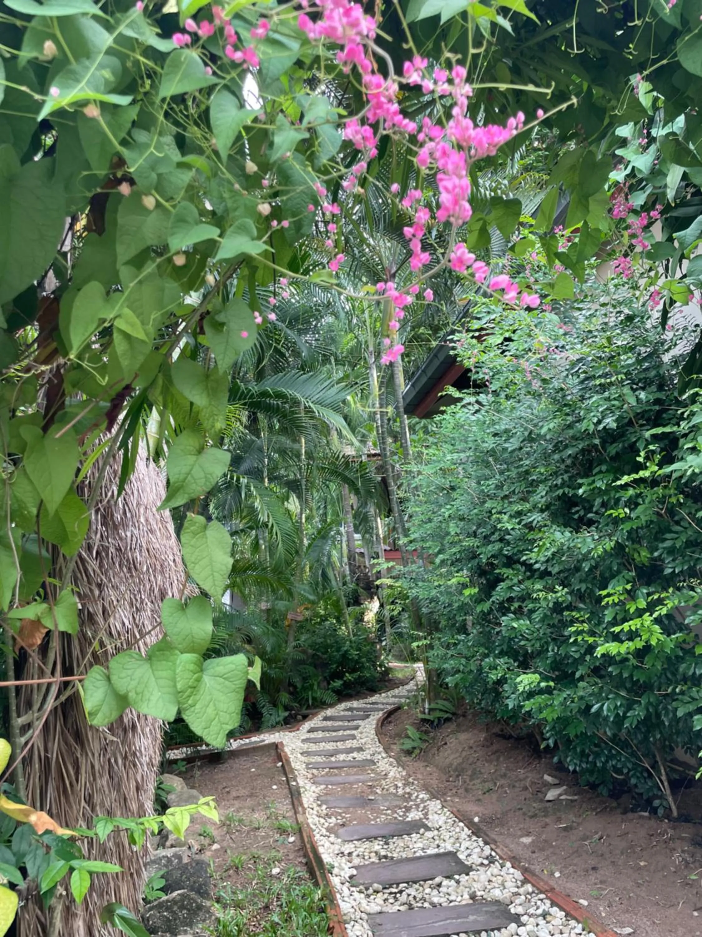 Garden in Jade cottages