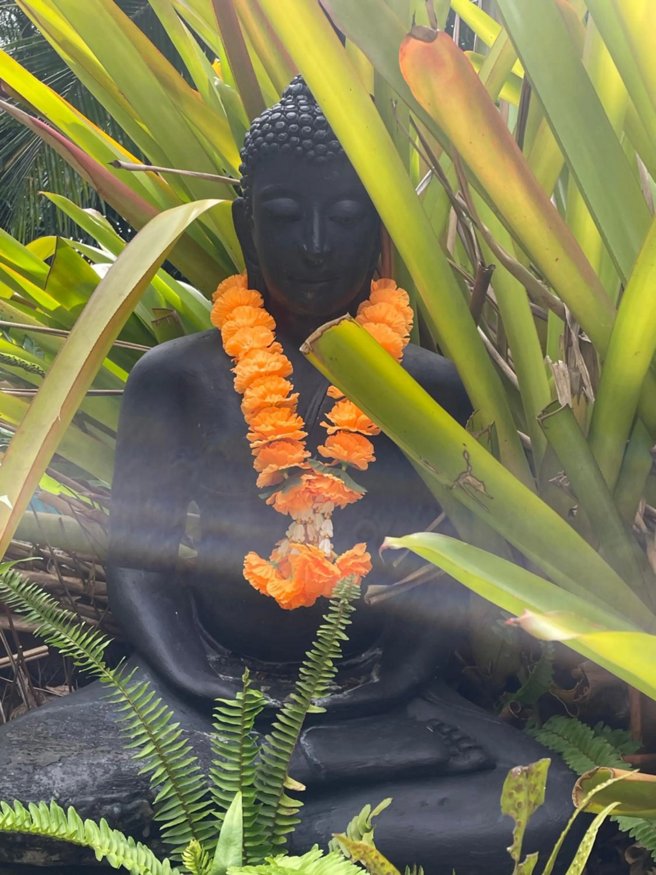 Garden in Jade cottages