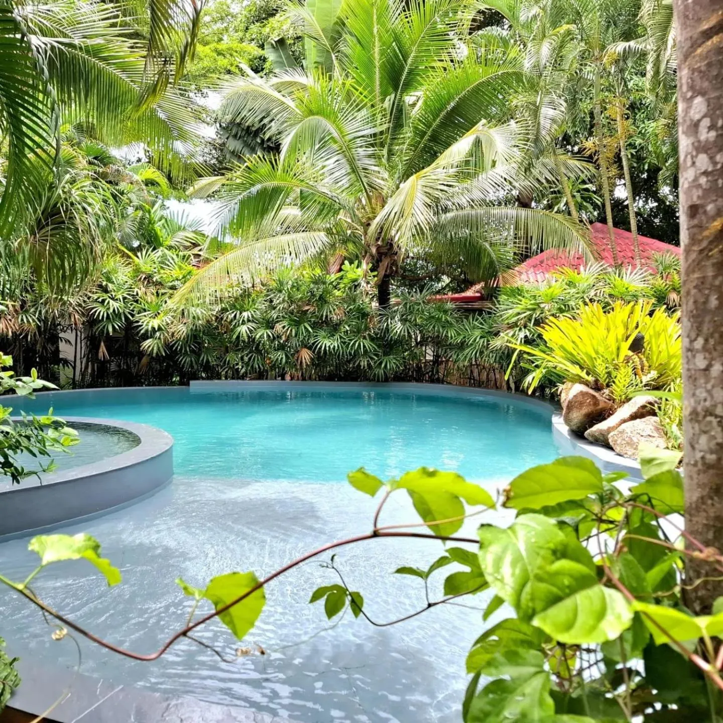 Swimming pool in Jade cottages