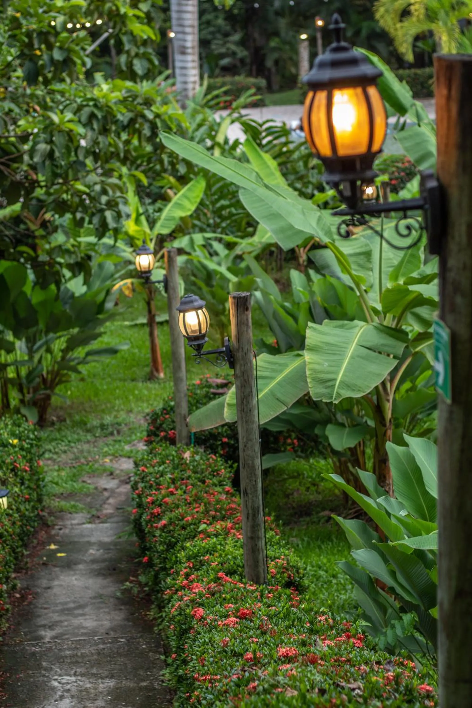 Natural landscape in Kantawa Hotel & Spa