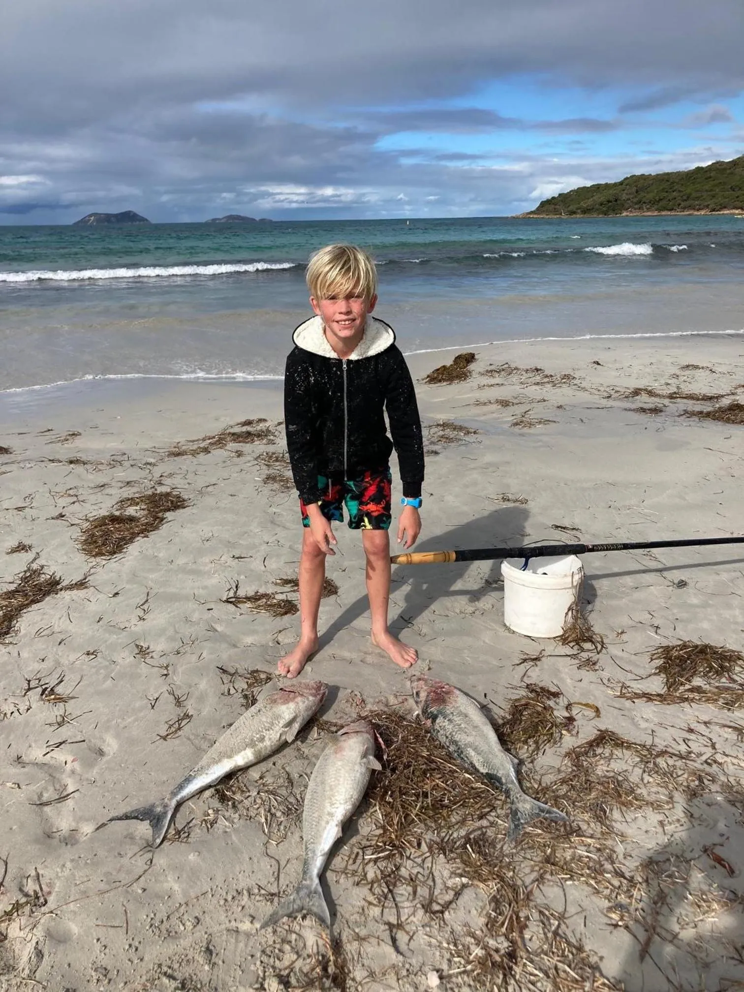 Natural landscape in BIG4 Middleton Beach Holiday Park