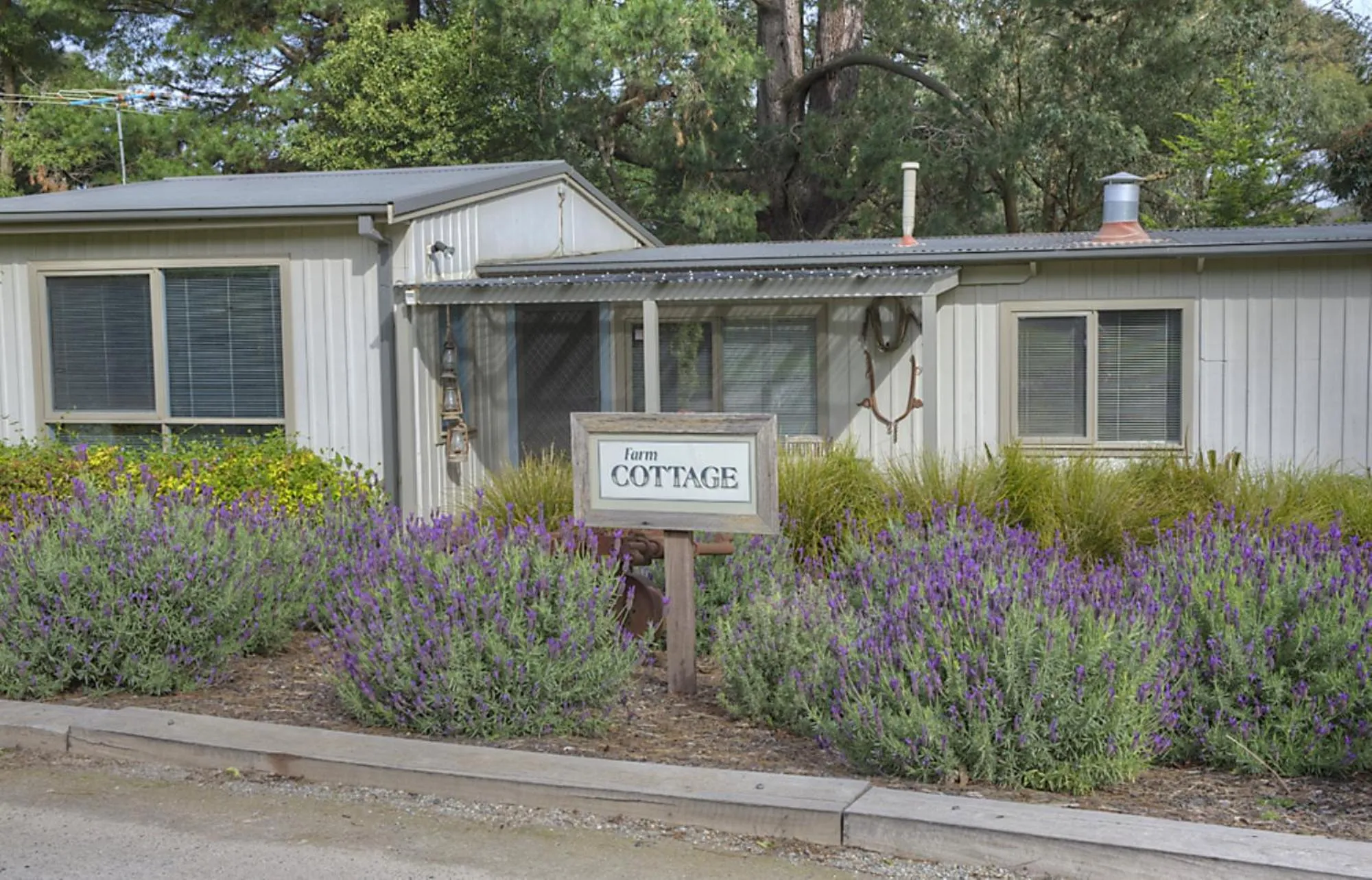 Day in Panorama Retreat & Resort