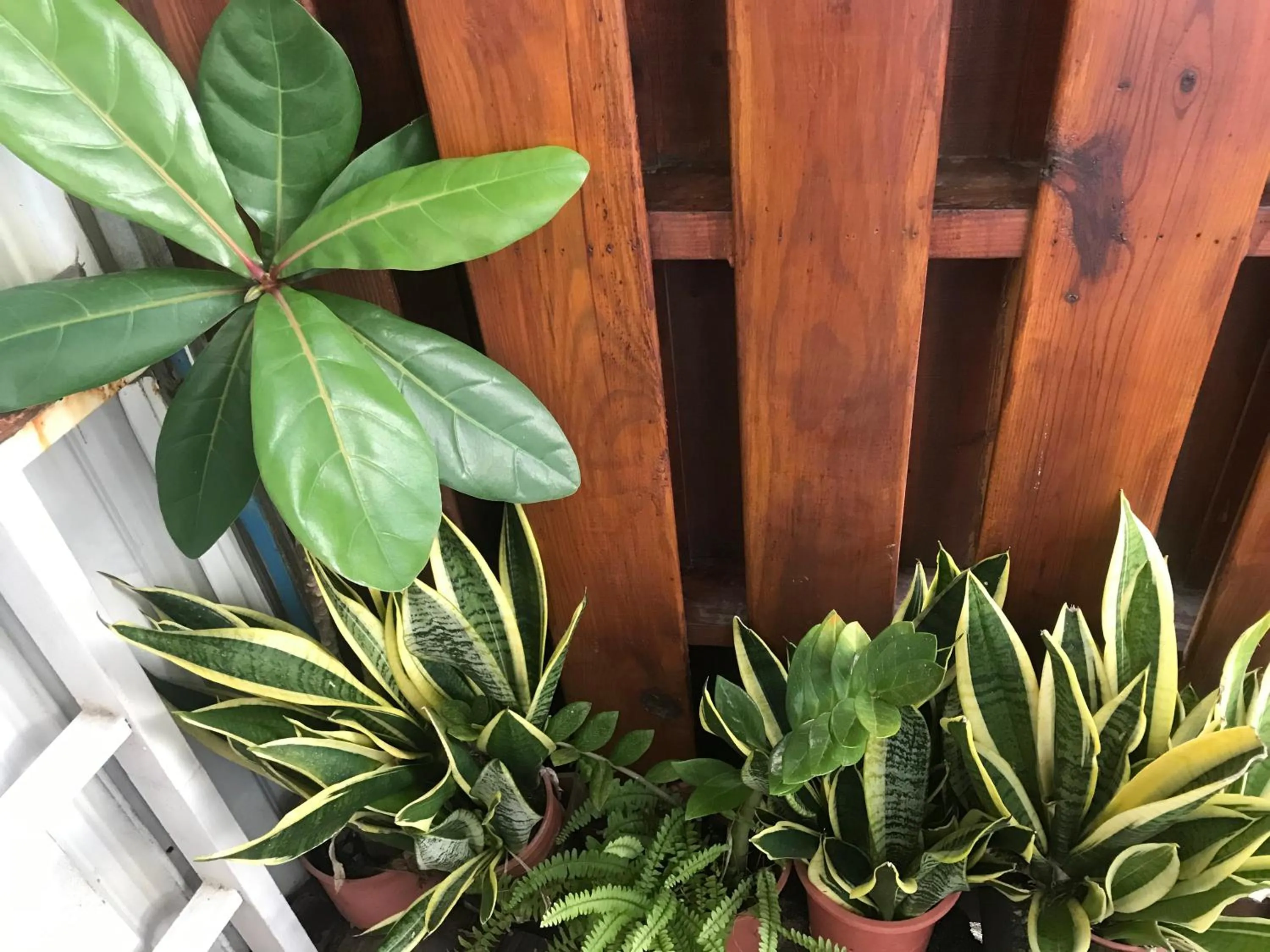 Seashell Bay 墾丁貝殼灣