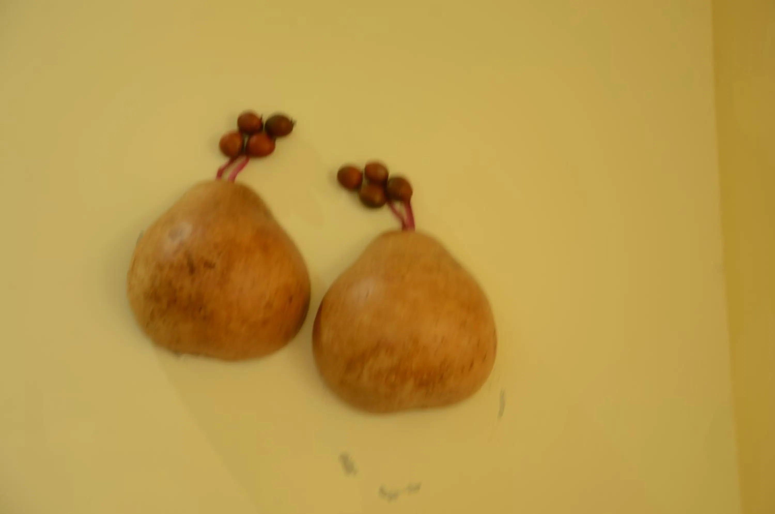 Living room in East of Love Homestay