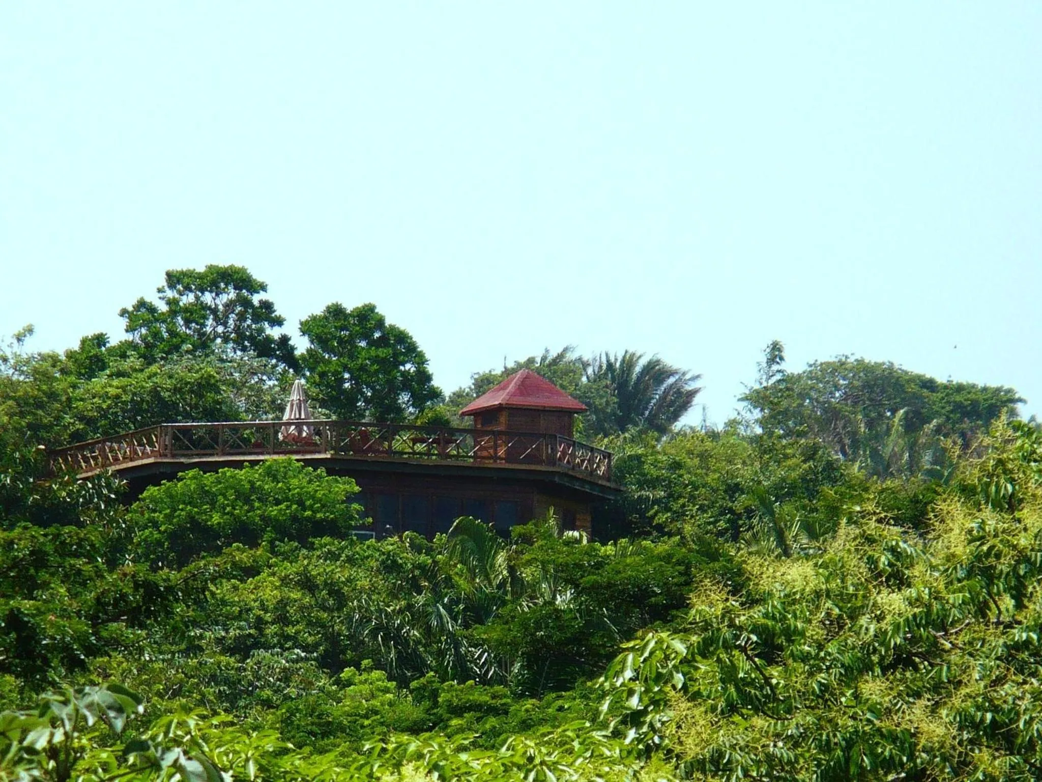 Natural landscape in Roatan Bed & Breakfast Apartments