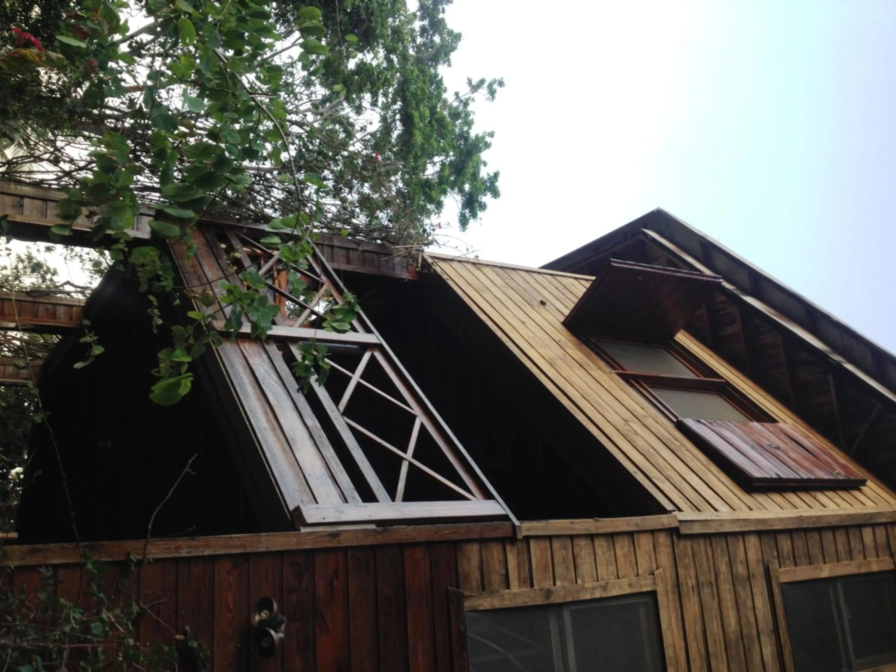 Facade/entrance in Roatan Bed & Breakfast Apartments