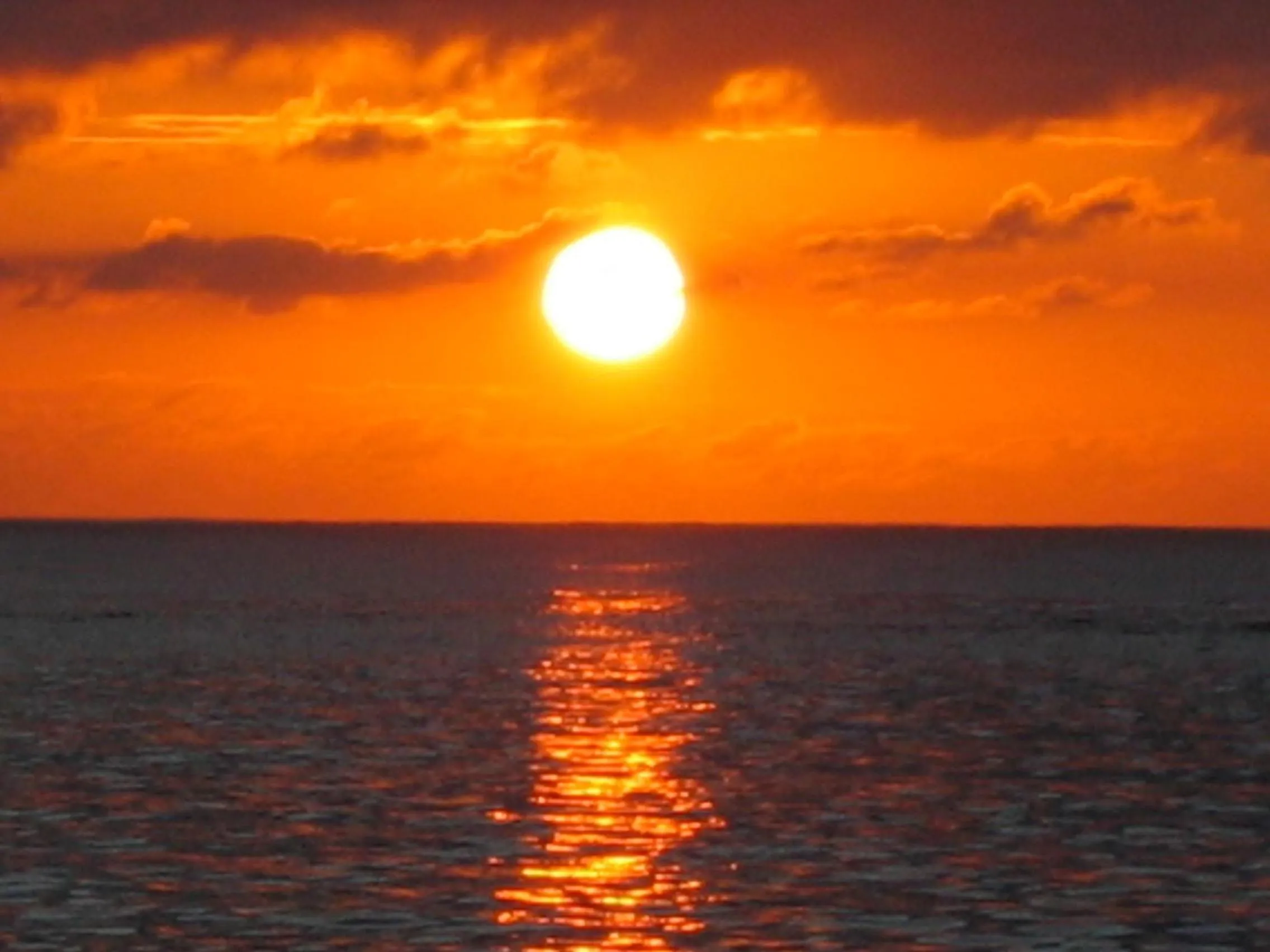 Area and facilities in Roatan Bed & Breakfast Apartments