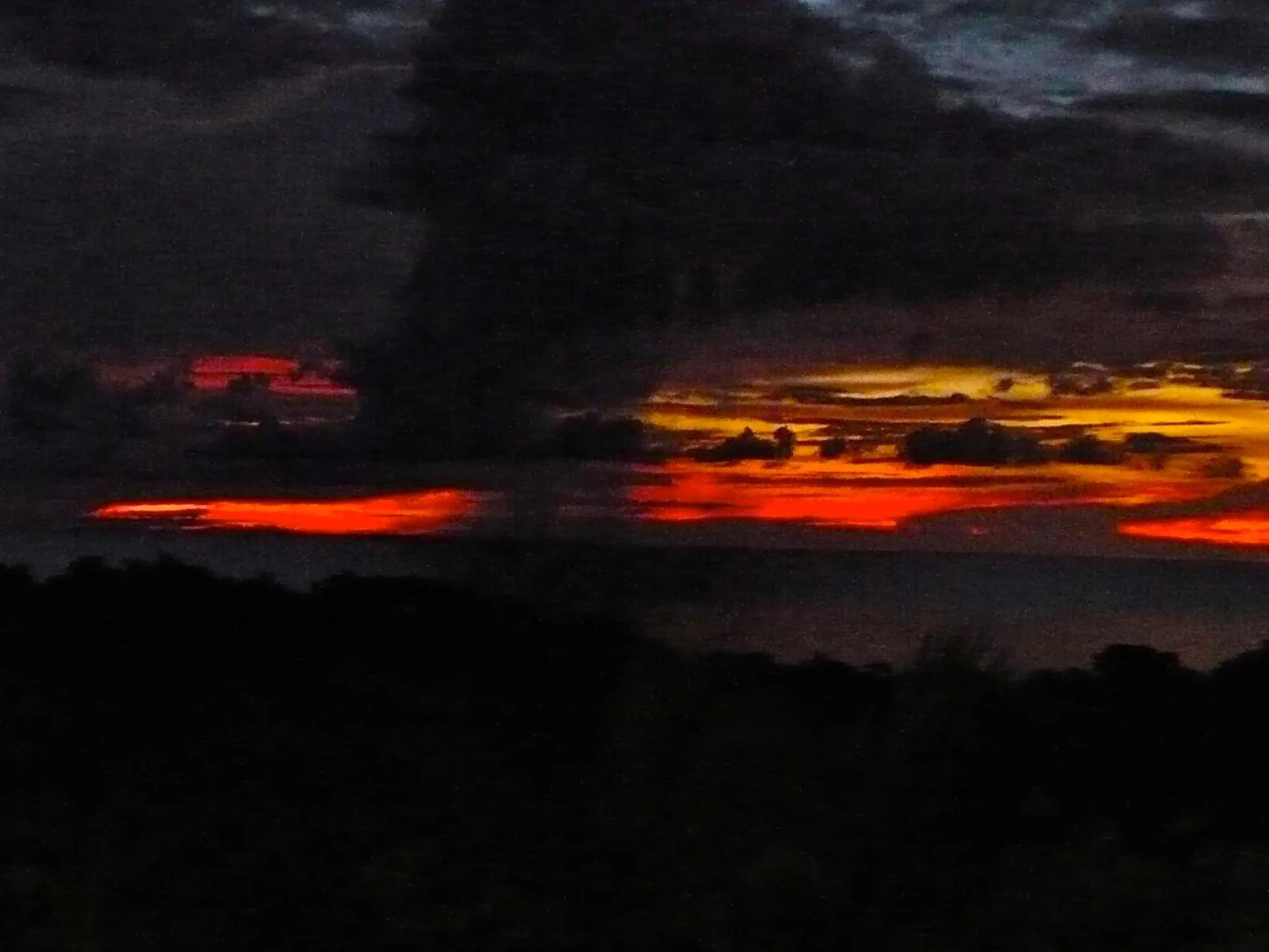 Area and facilities in Roatan Bed & Breakfast Apartments