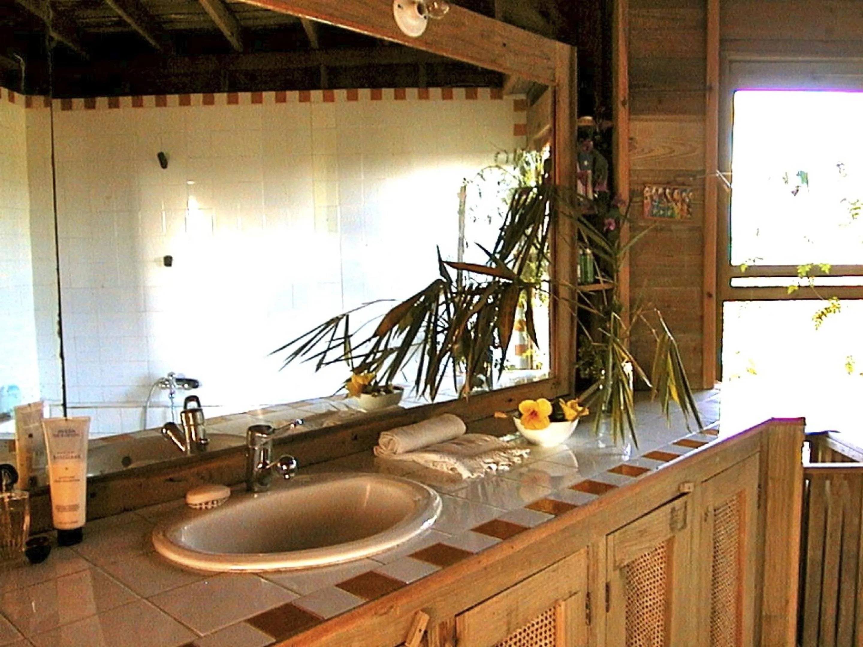 Bathroom in Roatan Bed & Breakfast Apartments