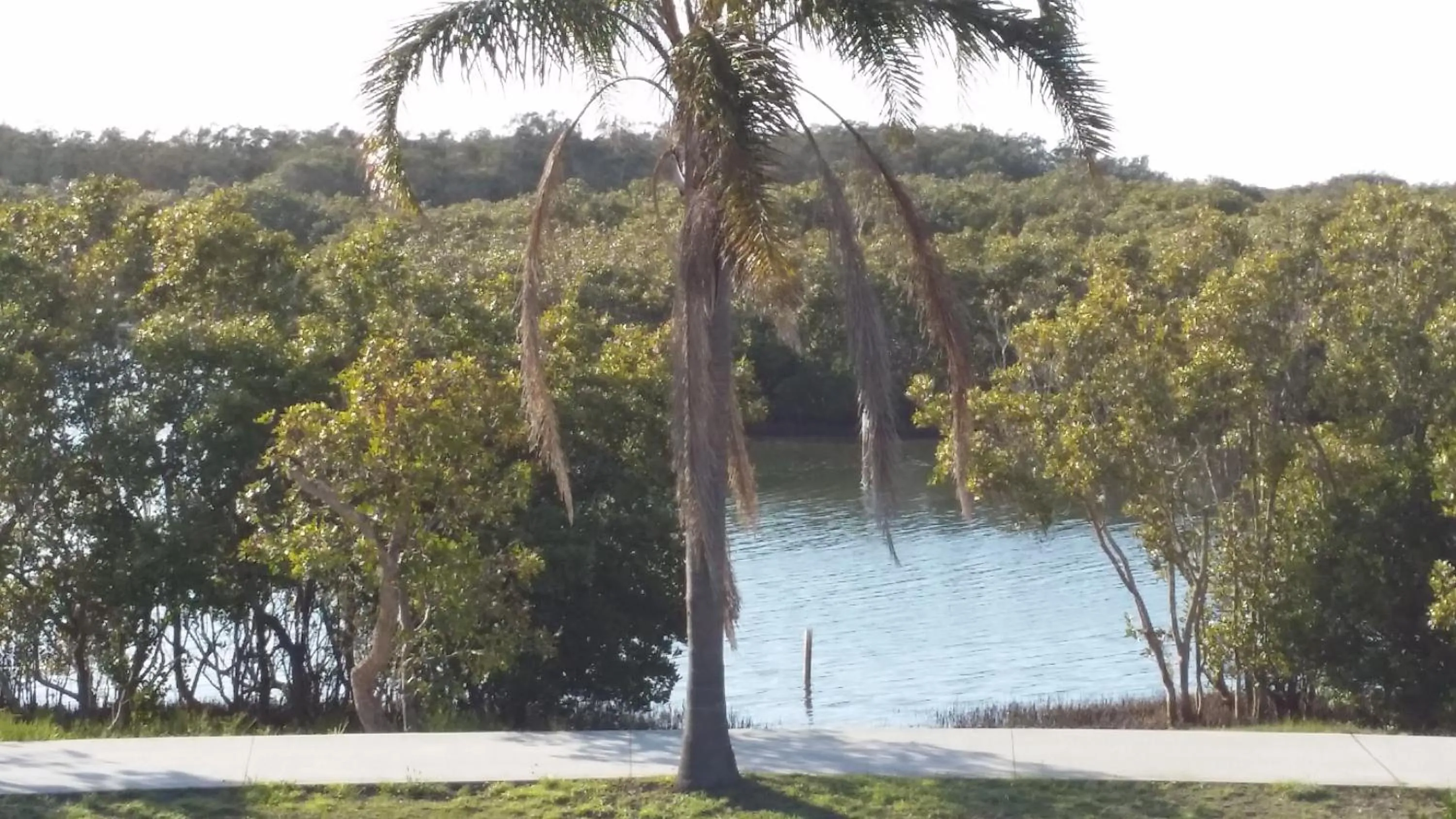 River view in Harrington Village Motel
