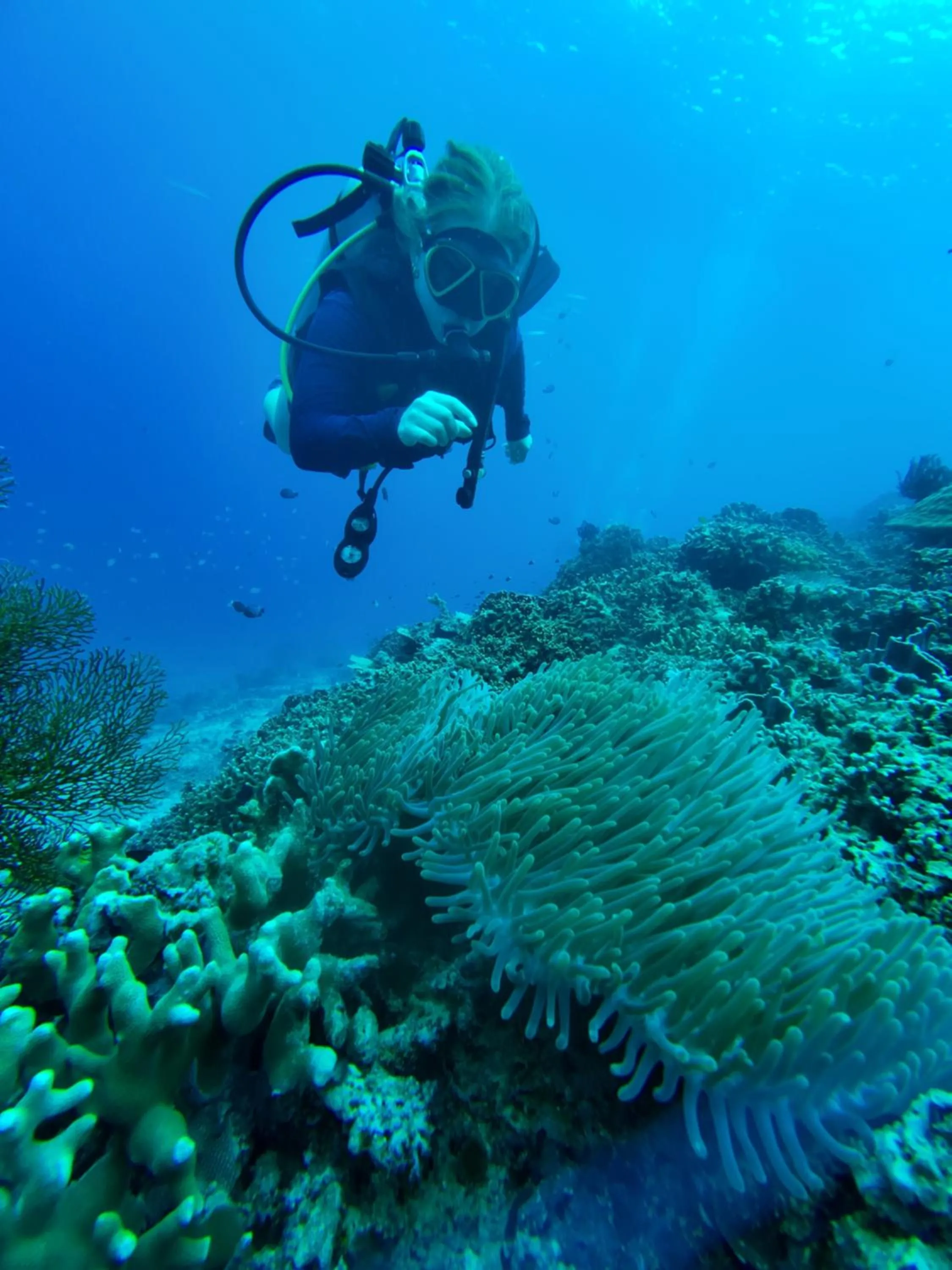 Diving in Pandan Bungalow