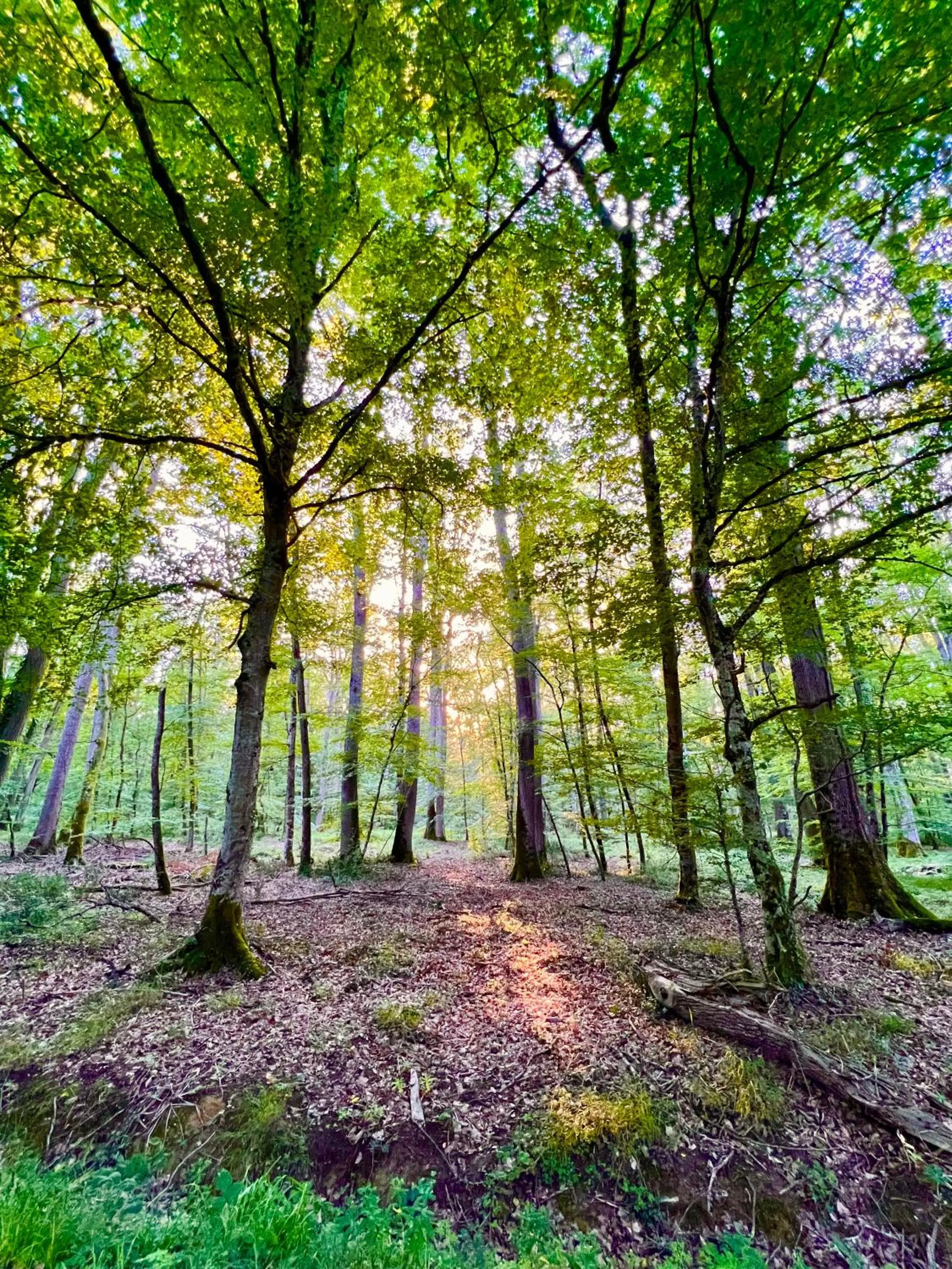 Activities in GSand Le Clos du May