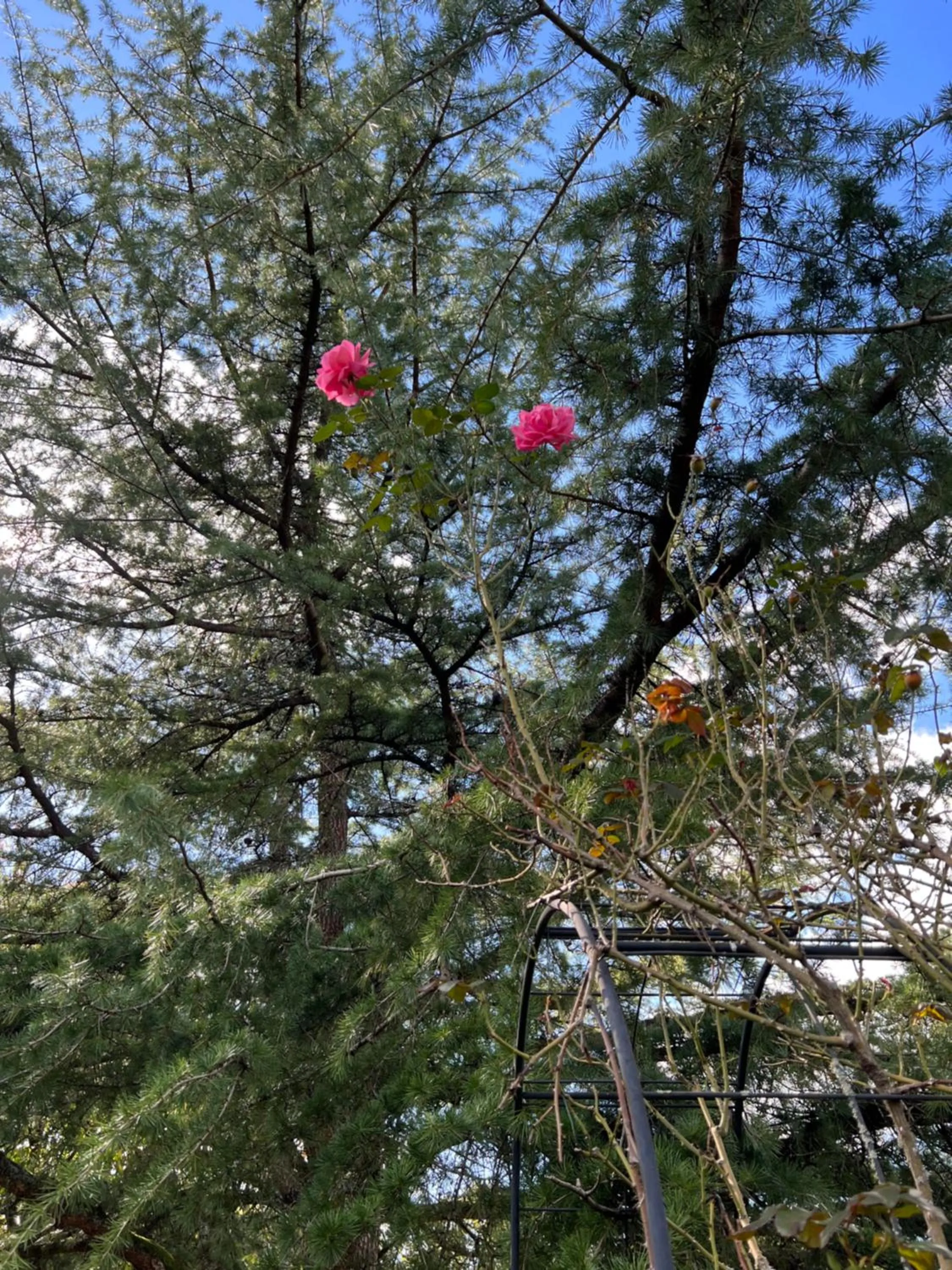 Natural landscape in GSand Le Clos du May