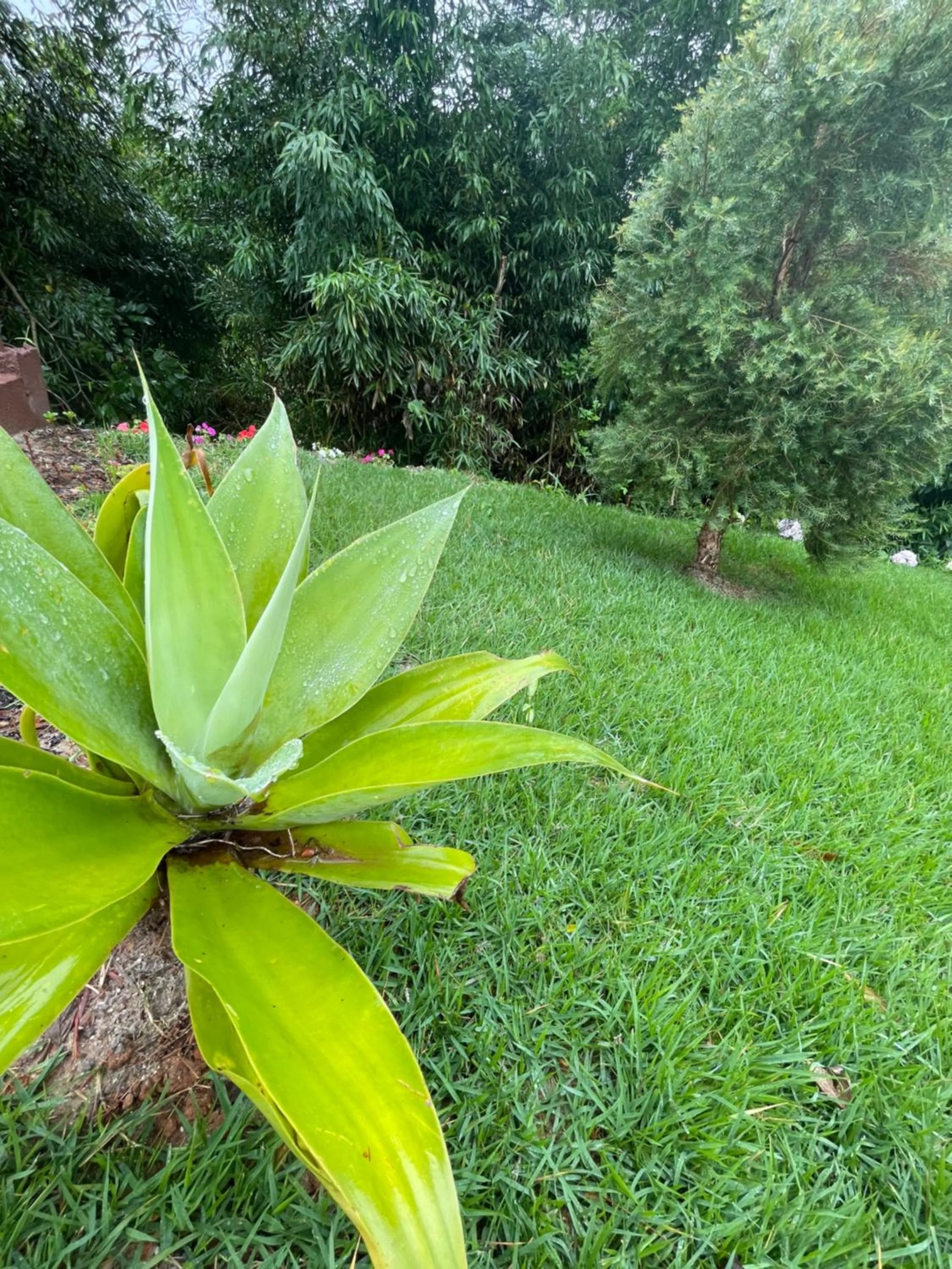 VILLA ITÁLIA CHALÉ