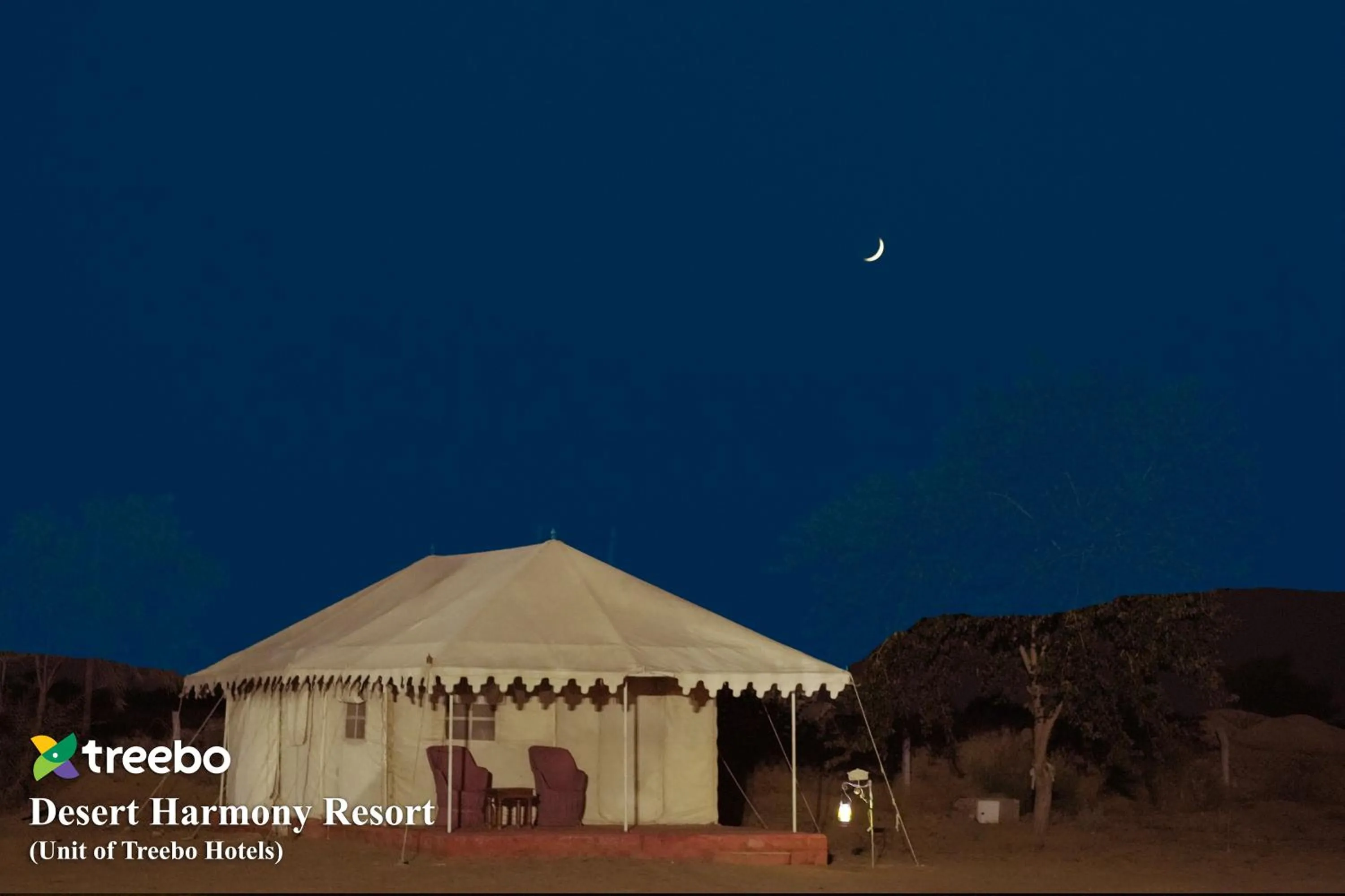 Night in Treebo Desert Harmony Camp