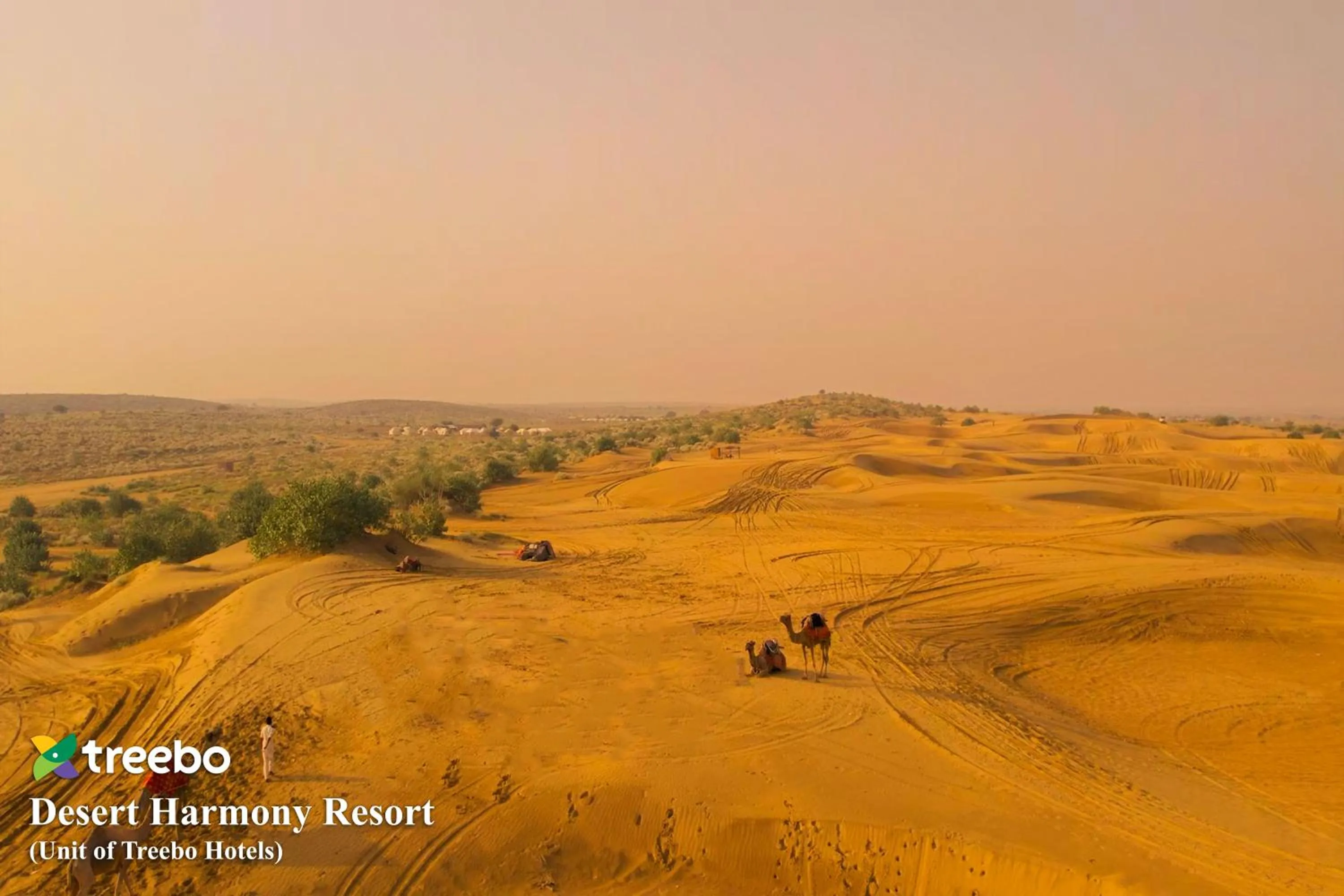 Natural landscape in Treebo Desert Harmony Camp
