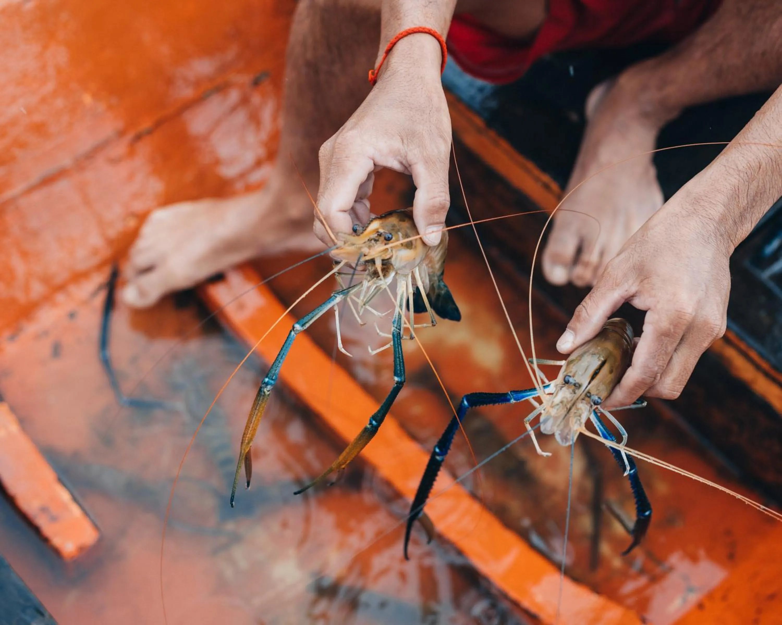 Activities in SS Villa & Resort