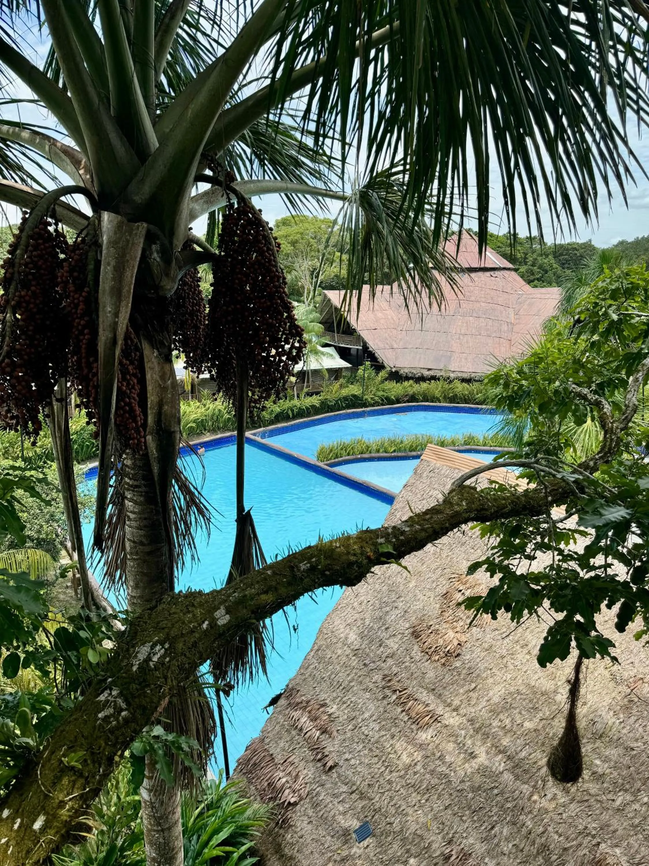 Swimming pool in Biohotel Arara River