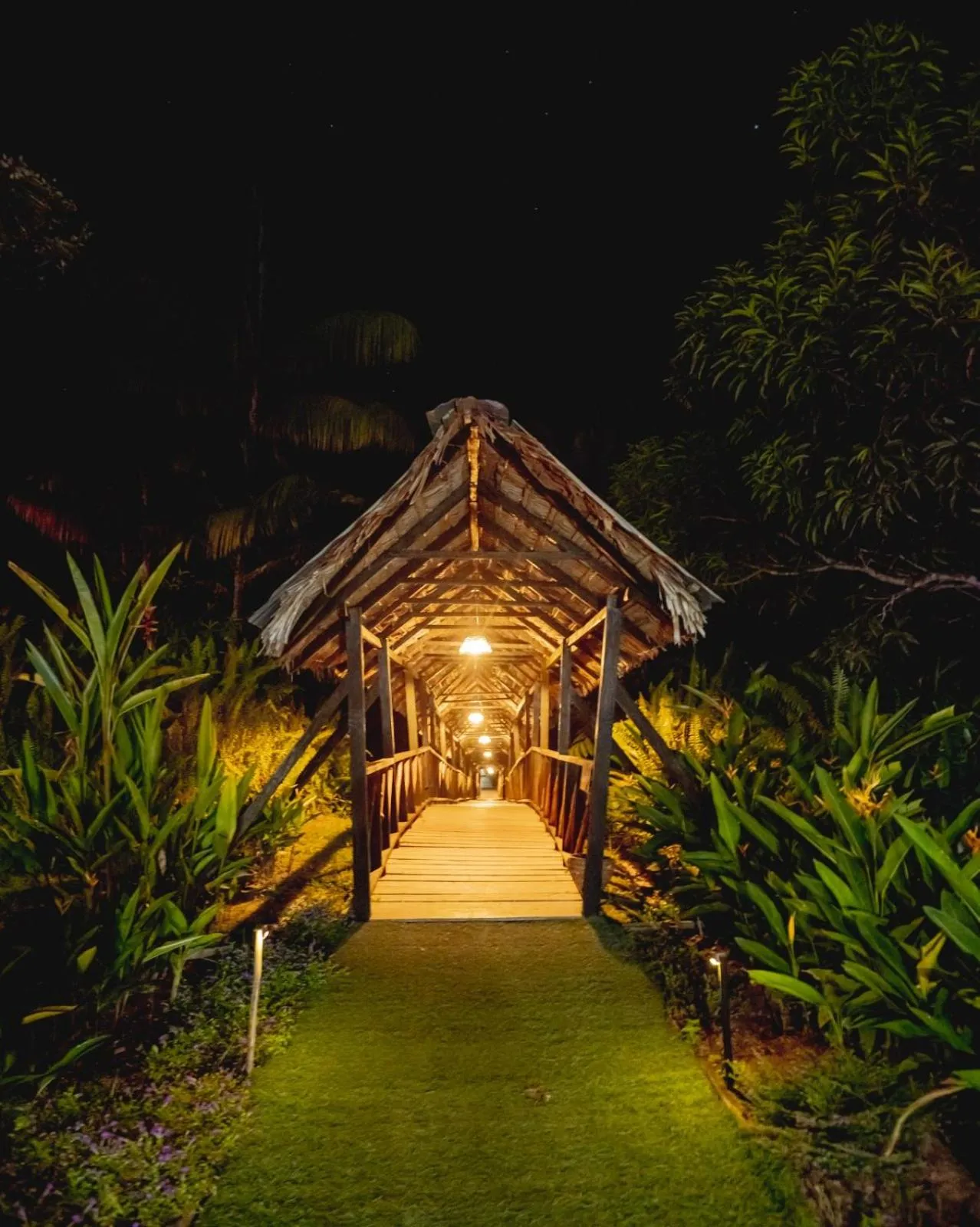 Garden in Biohotel Arara River