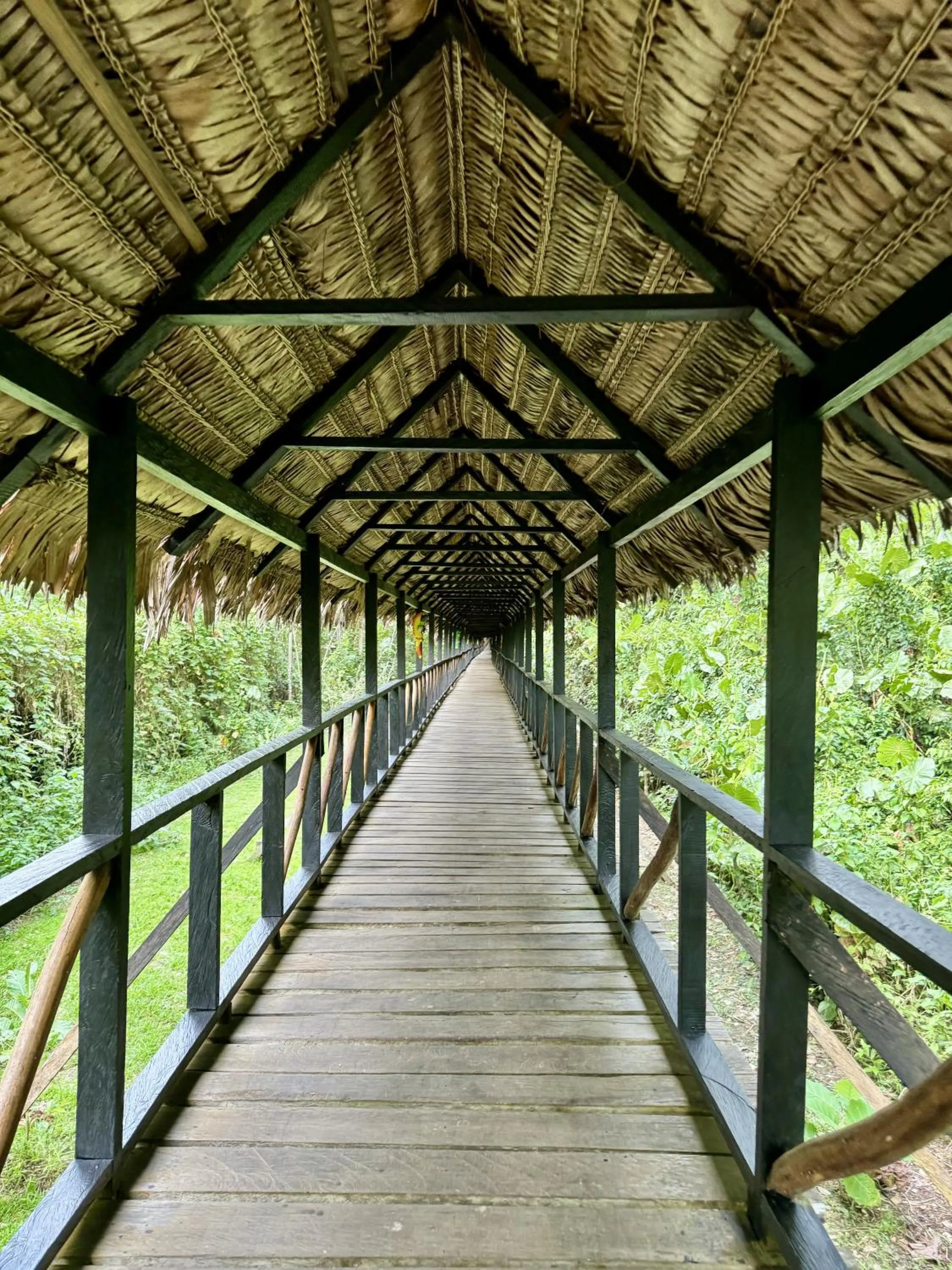 Property building in Biohotel Arara River