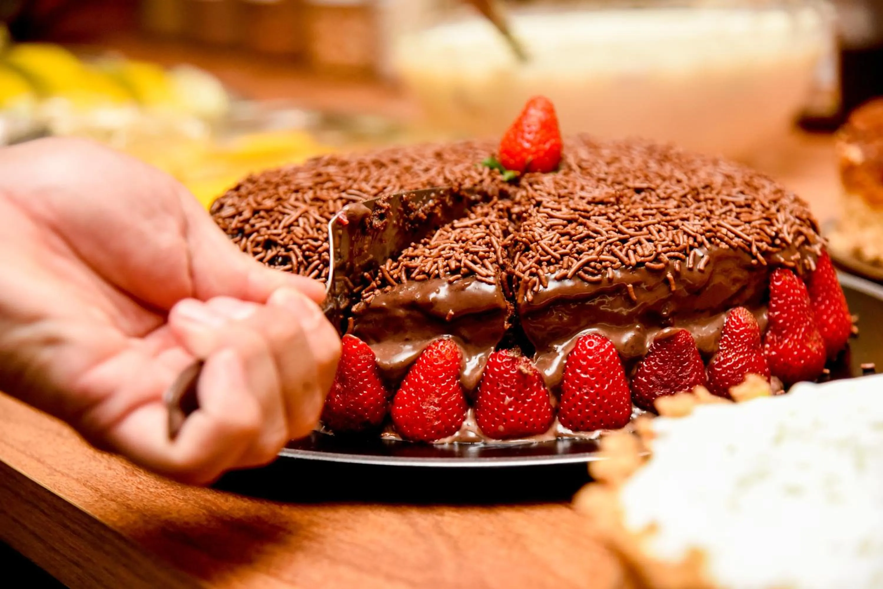 Hotel Titanic Penedo