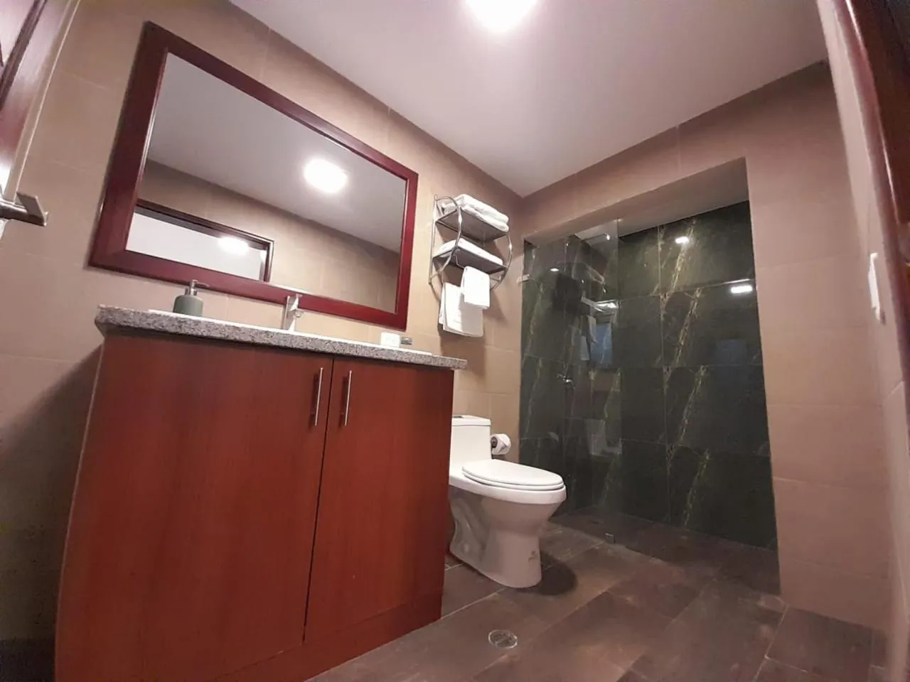 Toilet in 593 Hotel Boutique Baños