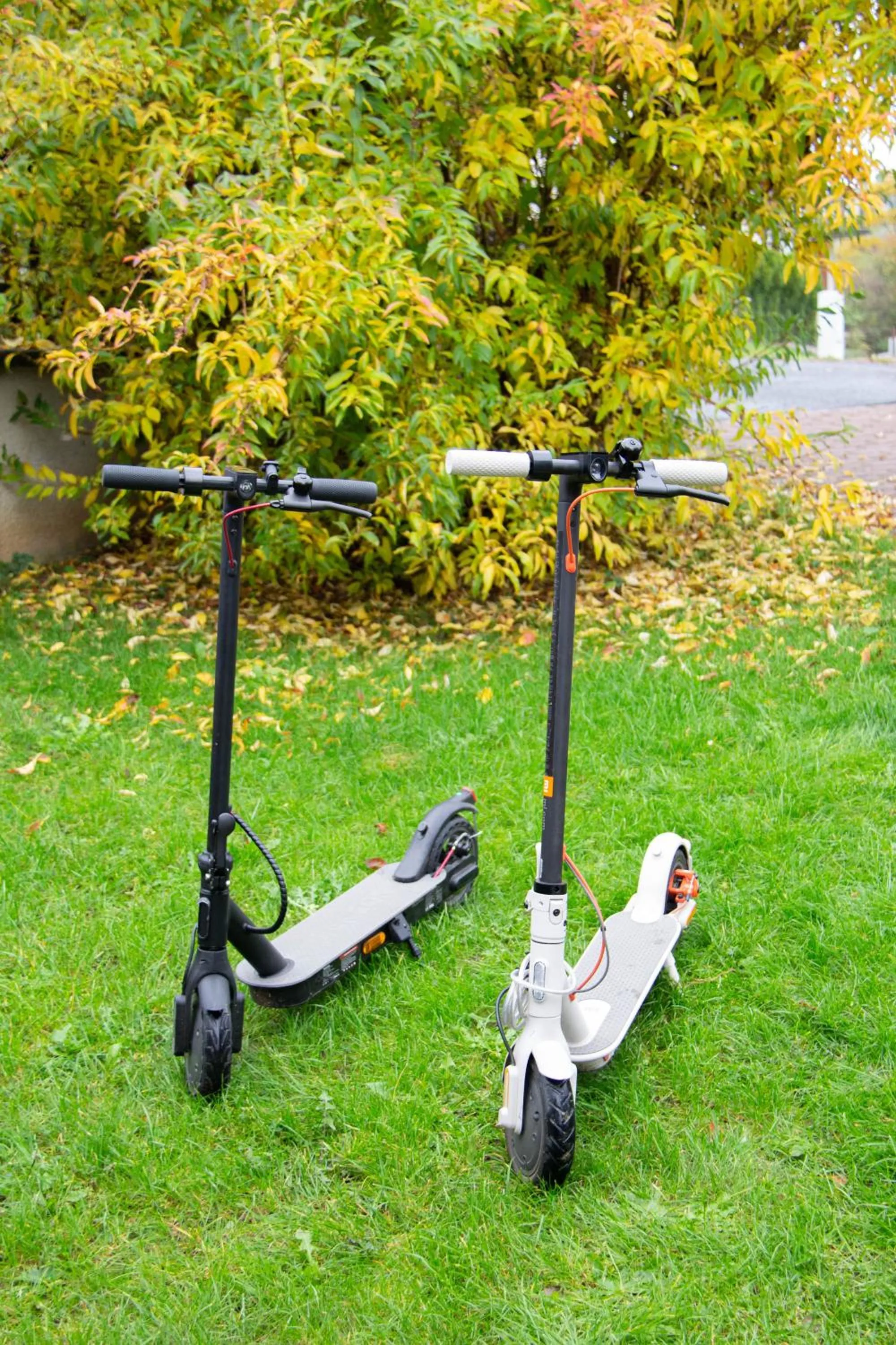 Garden in Hotel Vincent
