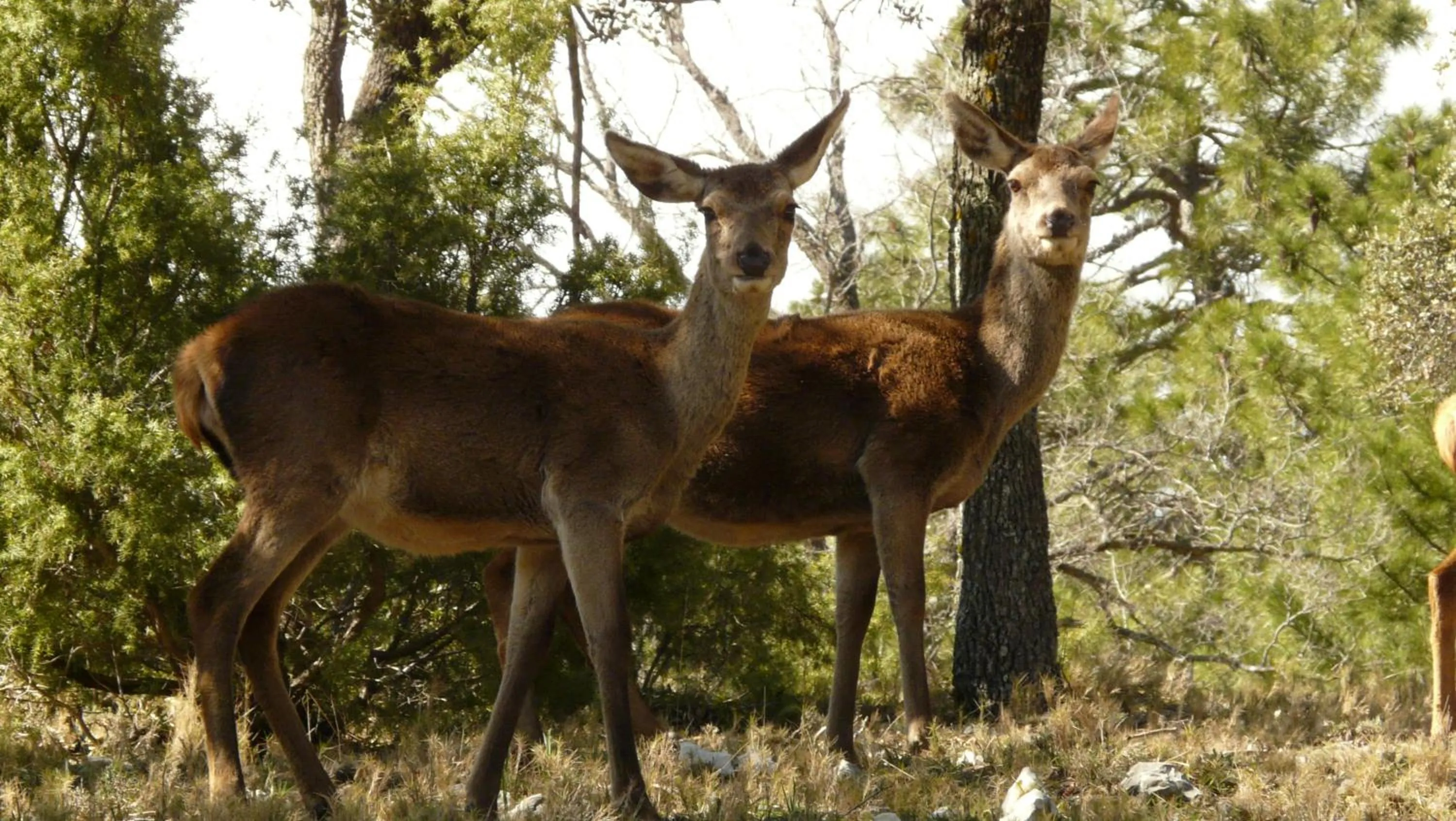 Other in Hotel Rural Montaña de Cazorla