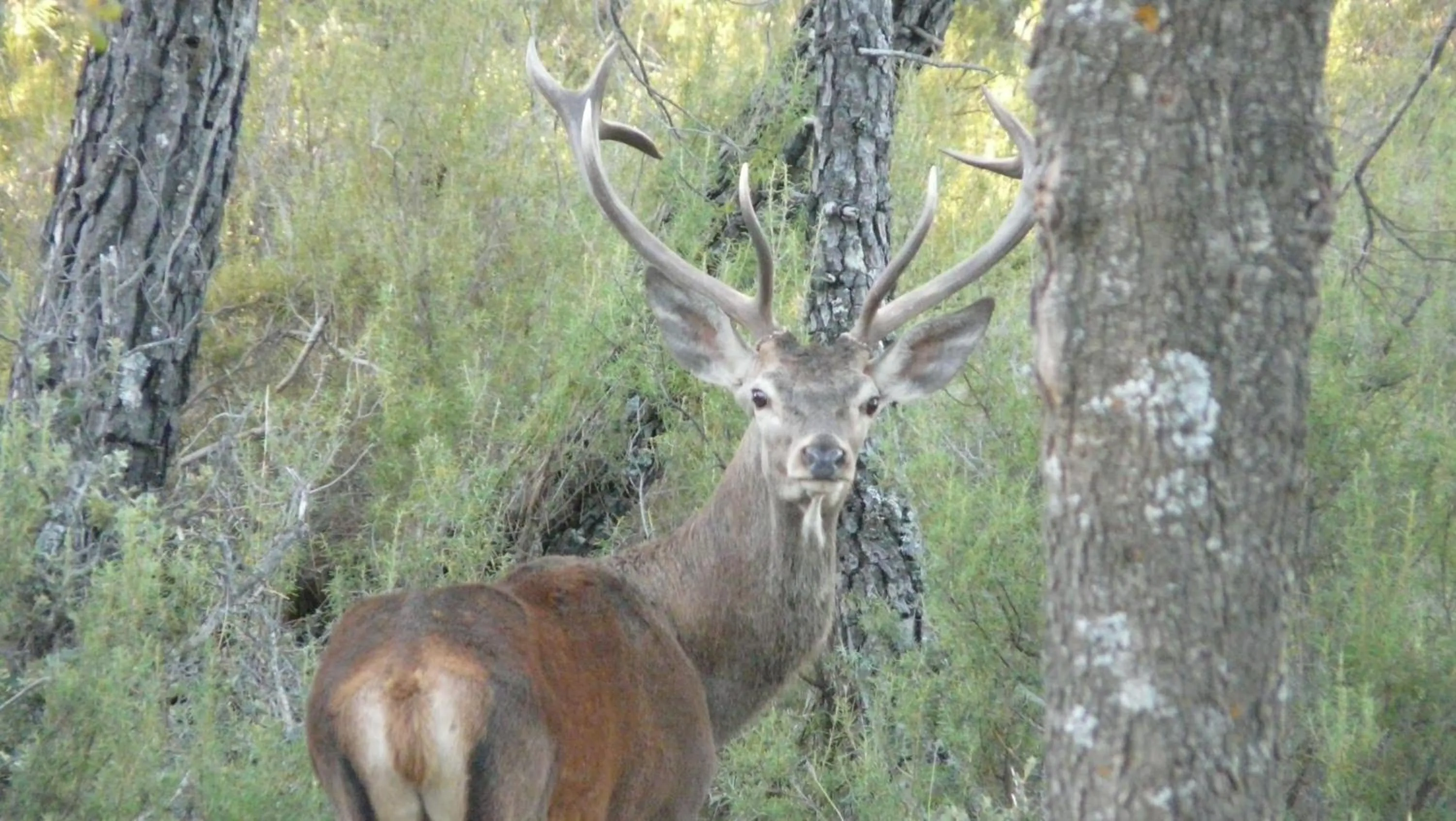Other in Hotel Rural Montaña de Cazorla