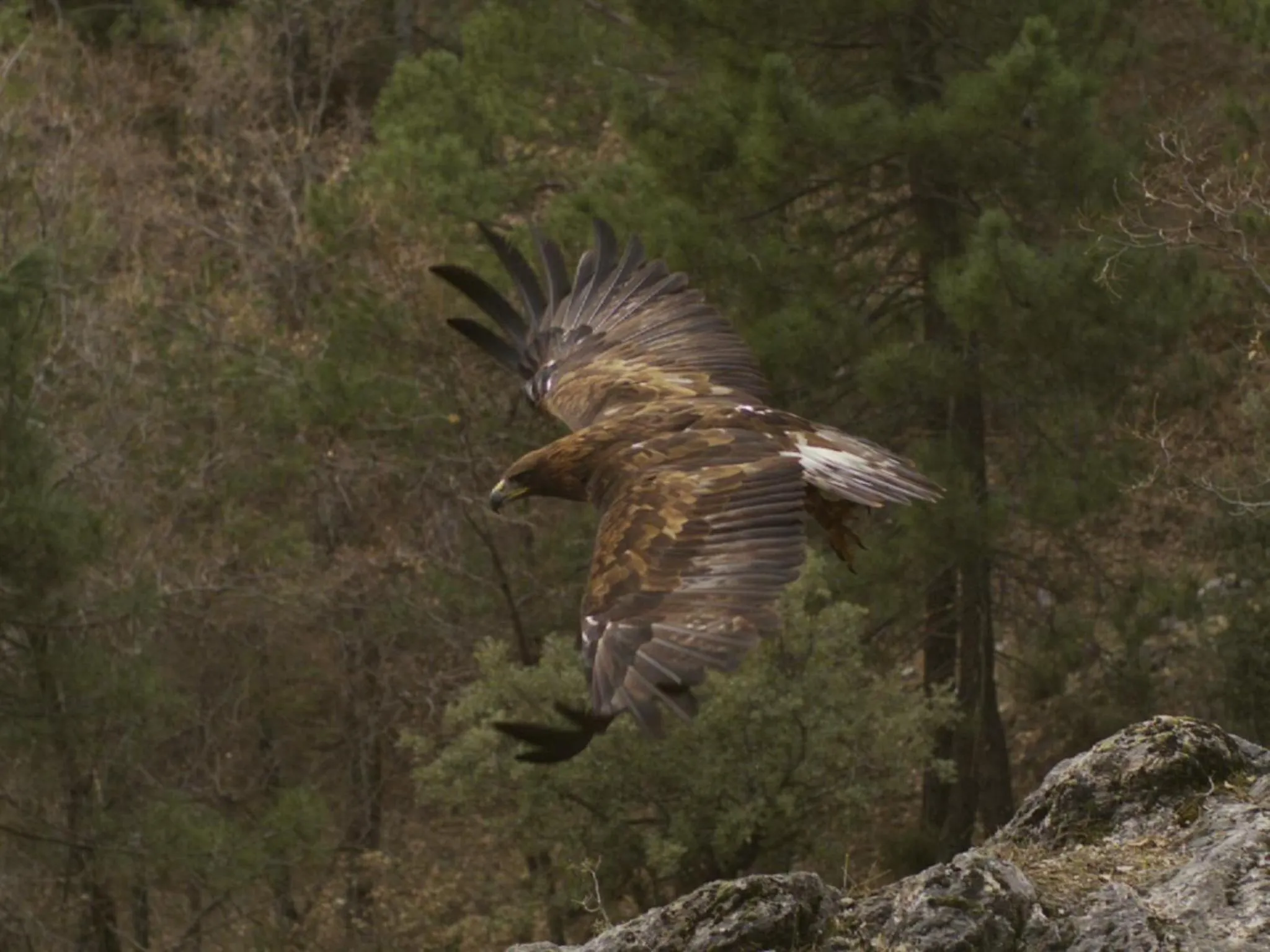 Other in Hotel Rural Montaña de Cazorla