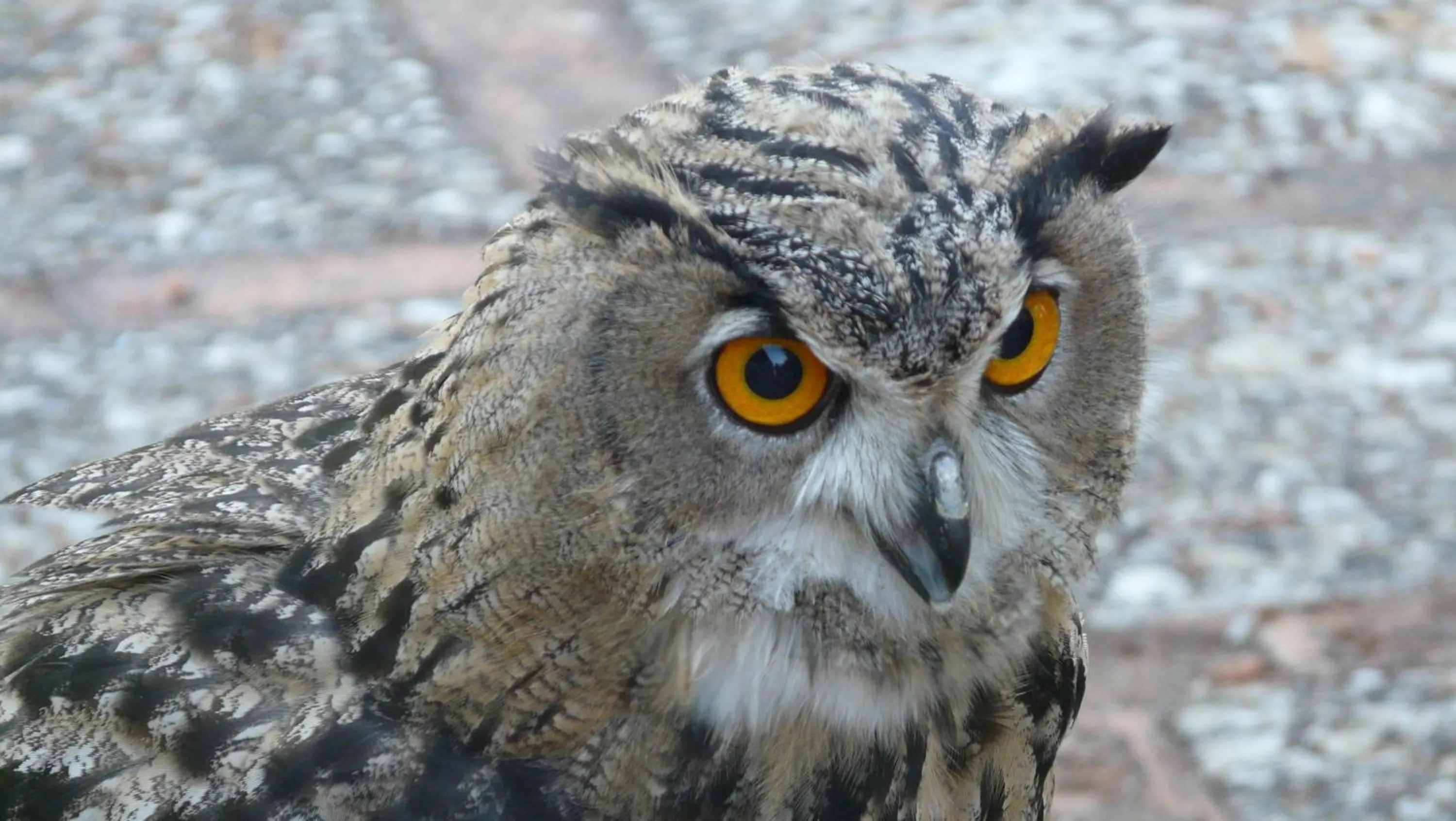 Other in Hotel Rural Montaña de Cazorla