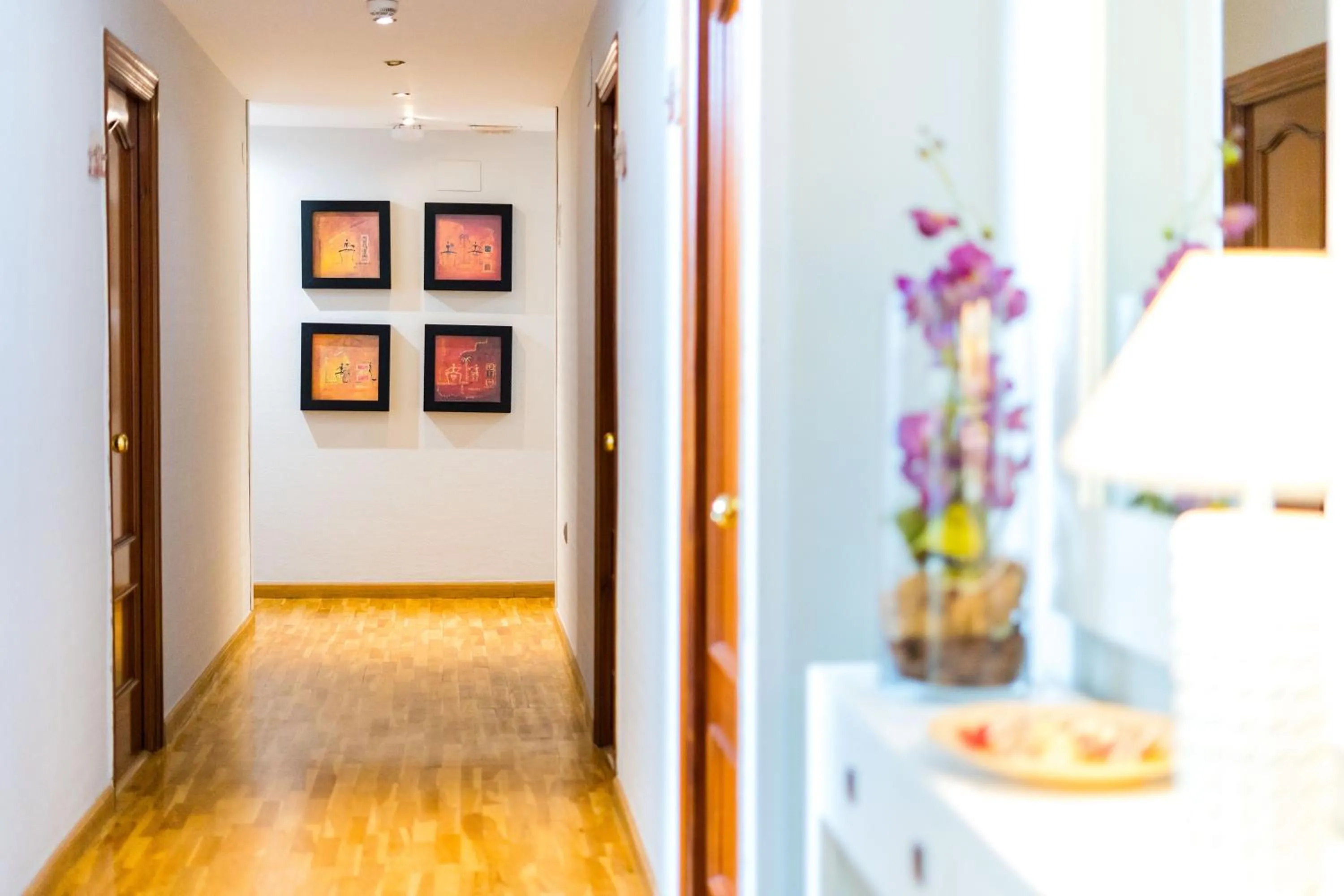 Area and facilities in Hotel Costasol