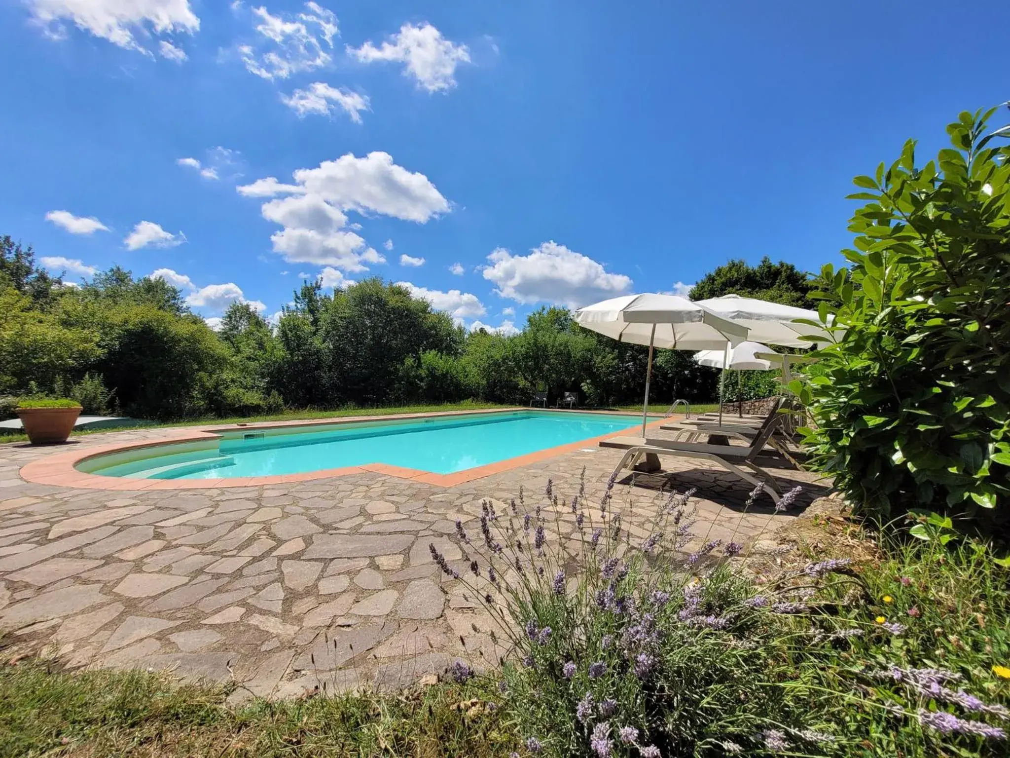Casa vacanze Il Poggetto Casa vacanze Il Poggetto
