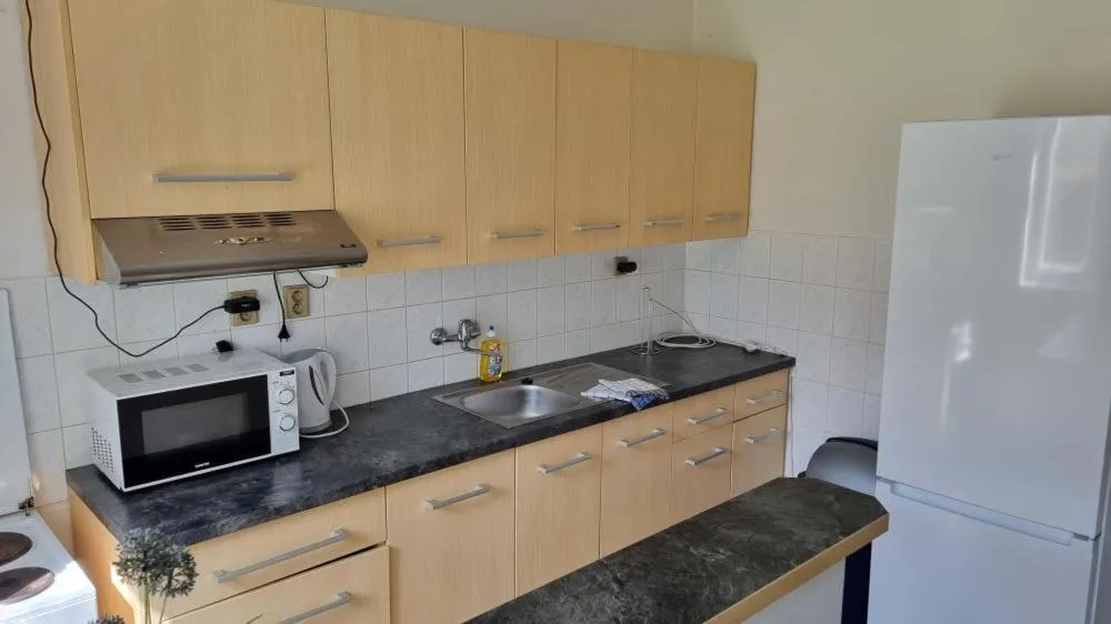 Kitchen or kitchenette in Wellness Hotel Orlík