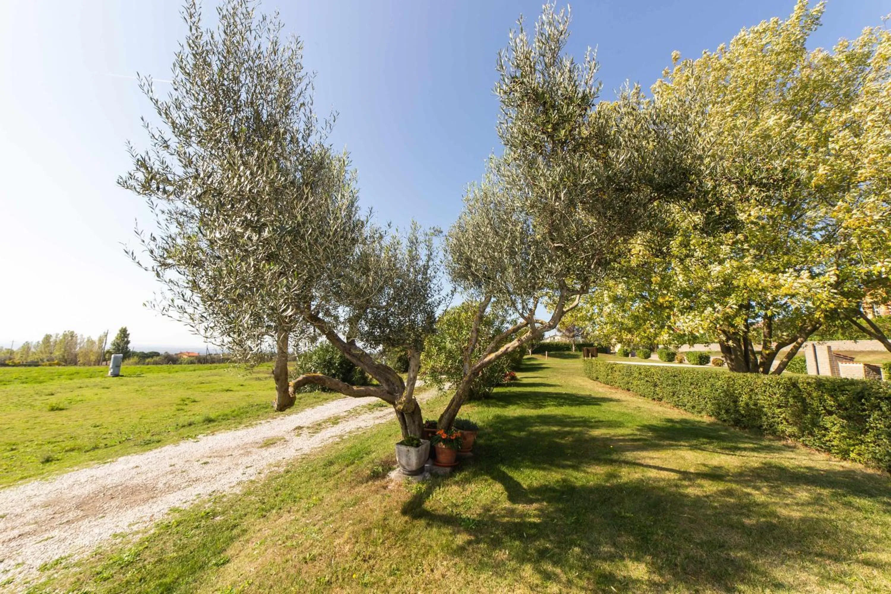 Garden in Agriturismo Bella Cima
