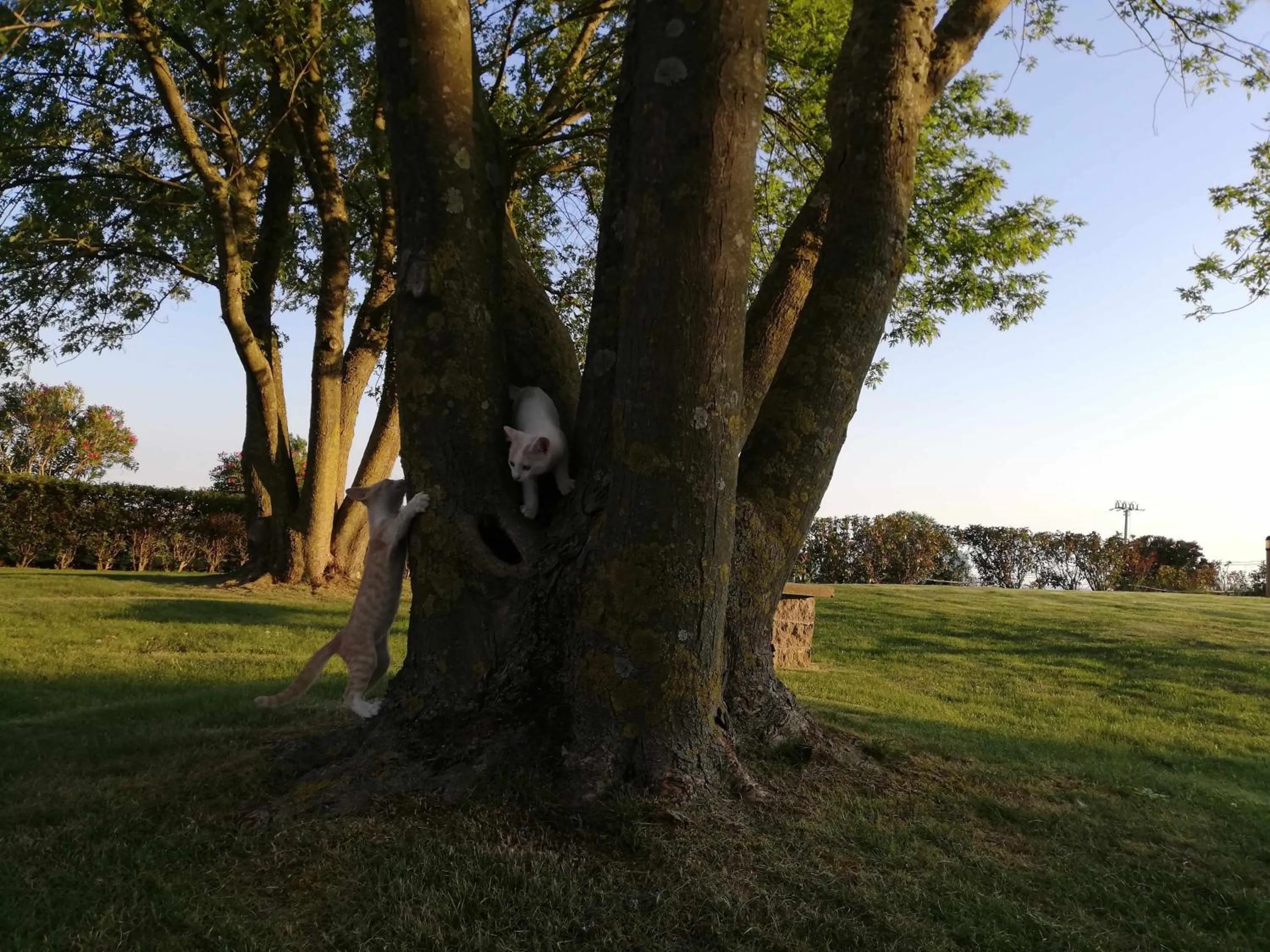 Garden in Agriturismo Bella Cima