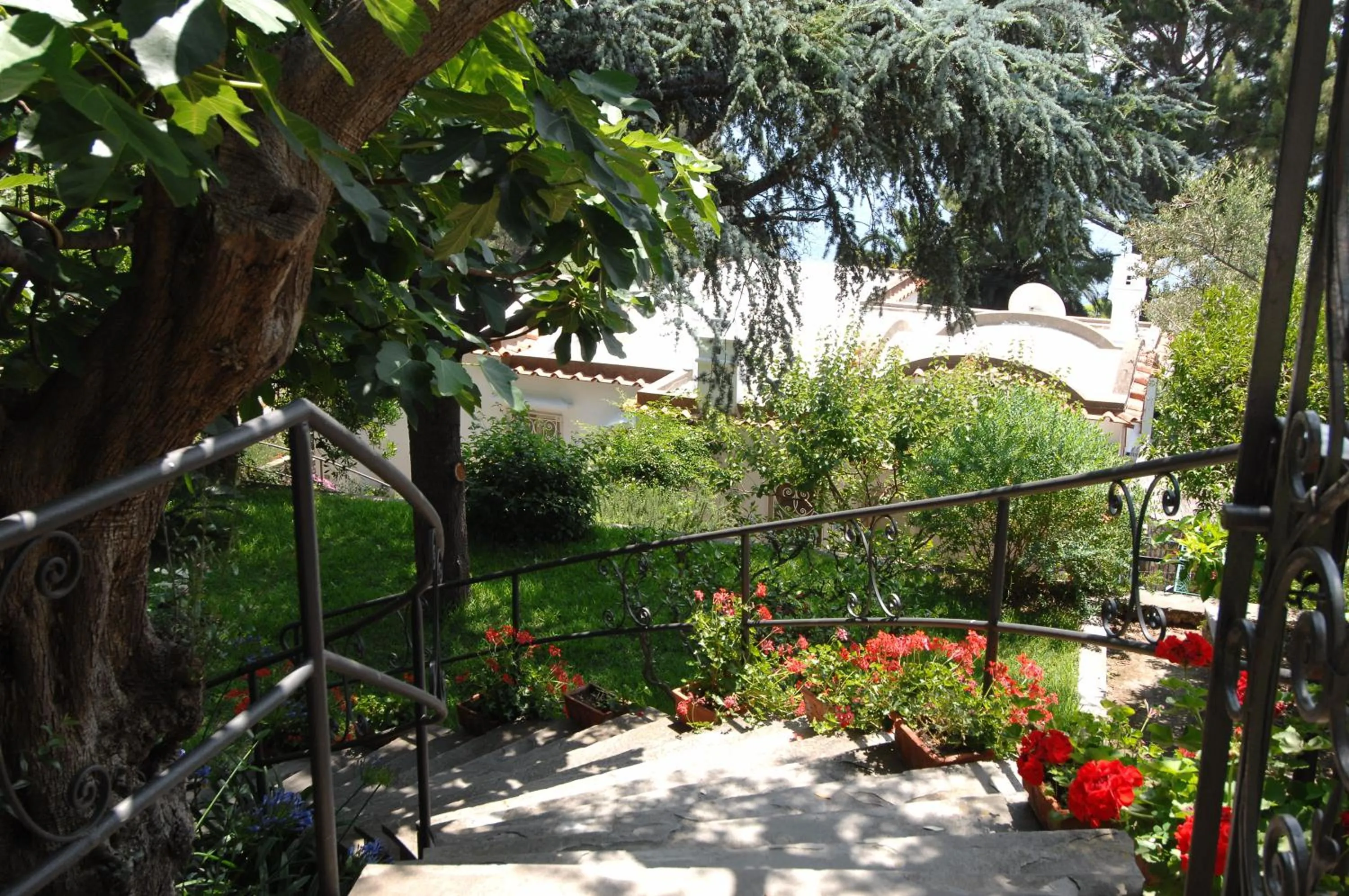 Garden in Casa Augusto B&B
