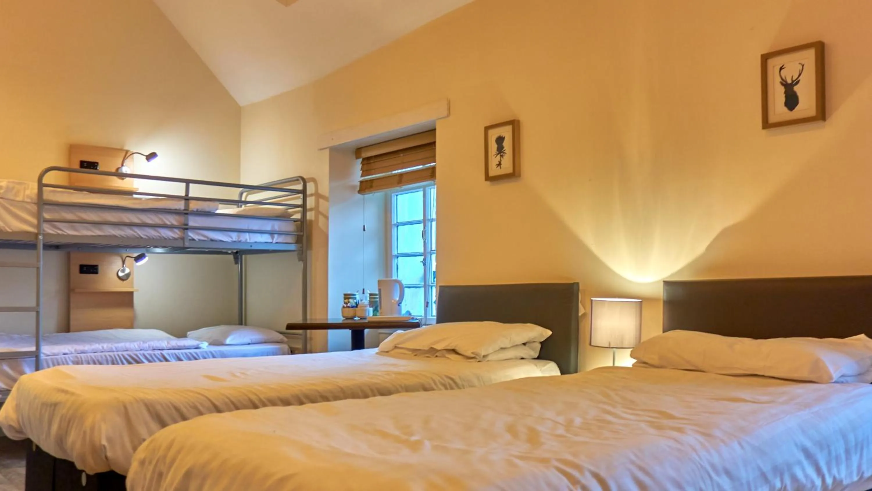 bunk bed, Bed in Callander Hostel