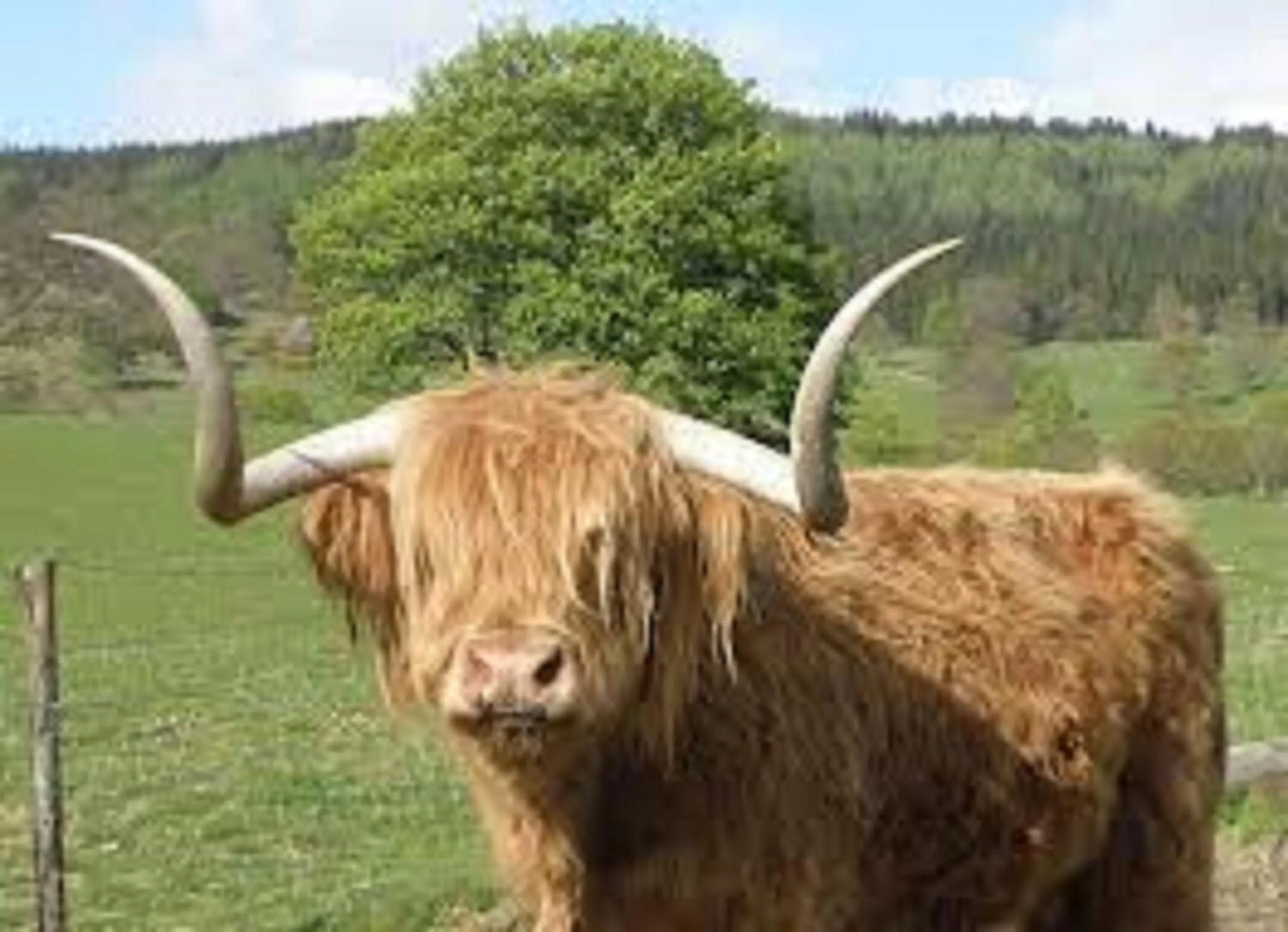 Other in Callander Hostel