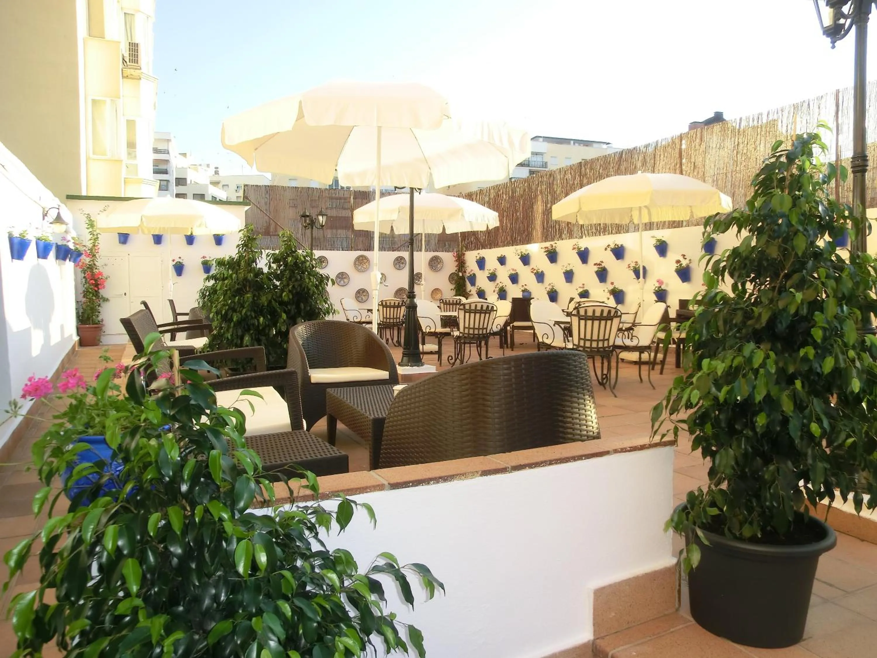 Other in Hotel El Faro Marbella