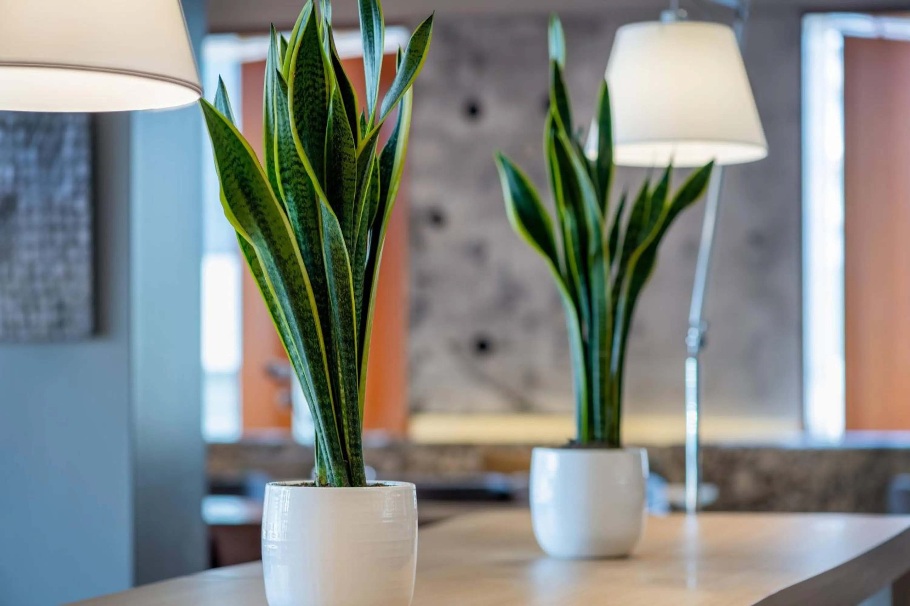 Lounge or bar in AC Hotel A Coruña by Marriott