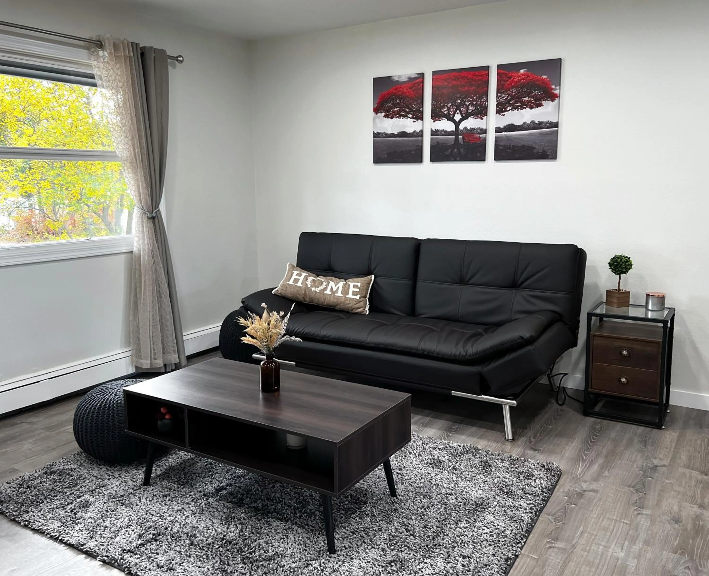 Living room in Anchorage midtown apartment- Wyoming 1