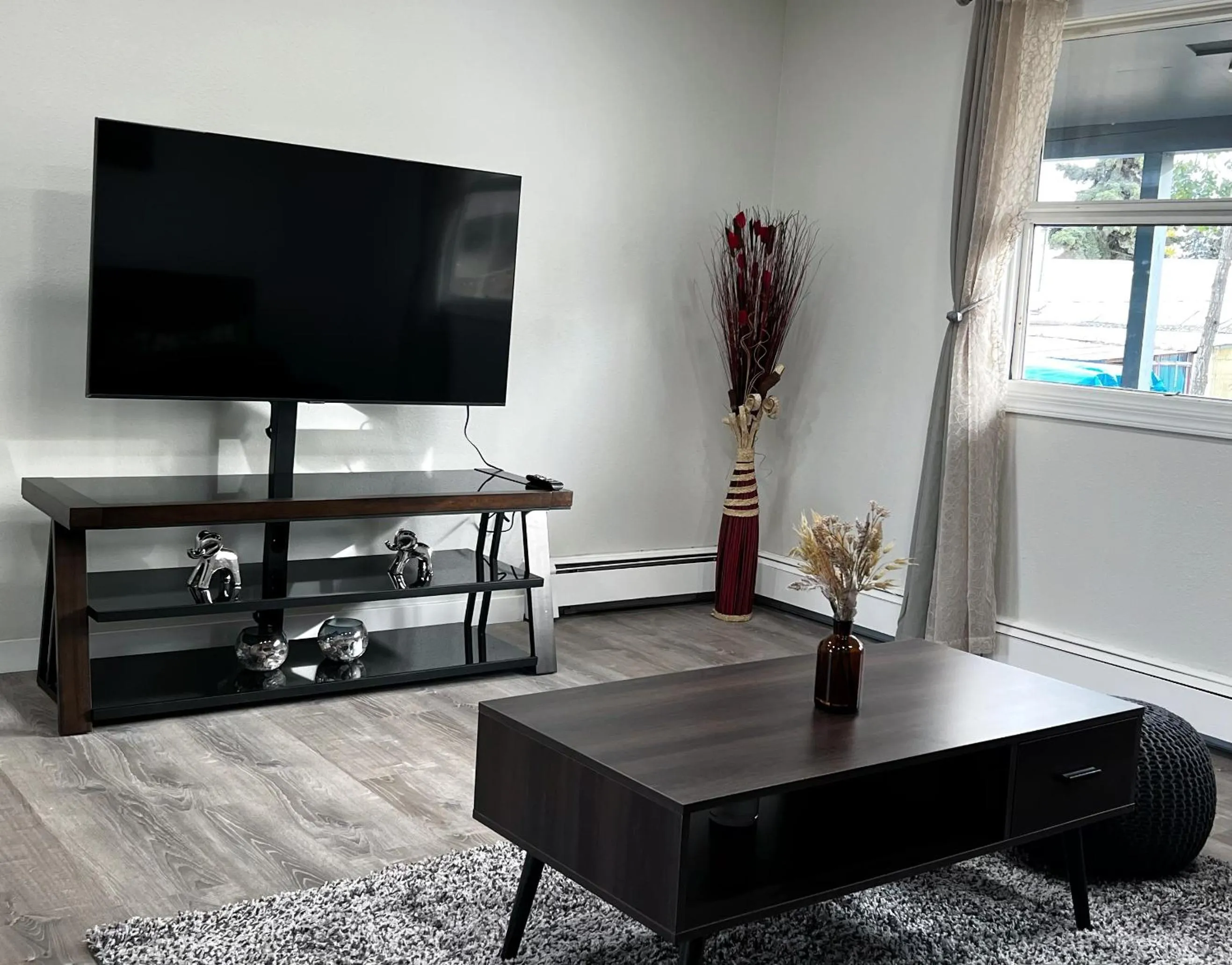 TV and multimedia in Anchorage midtown apartment- Wyoming 1