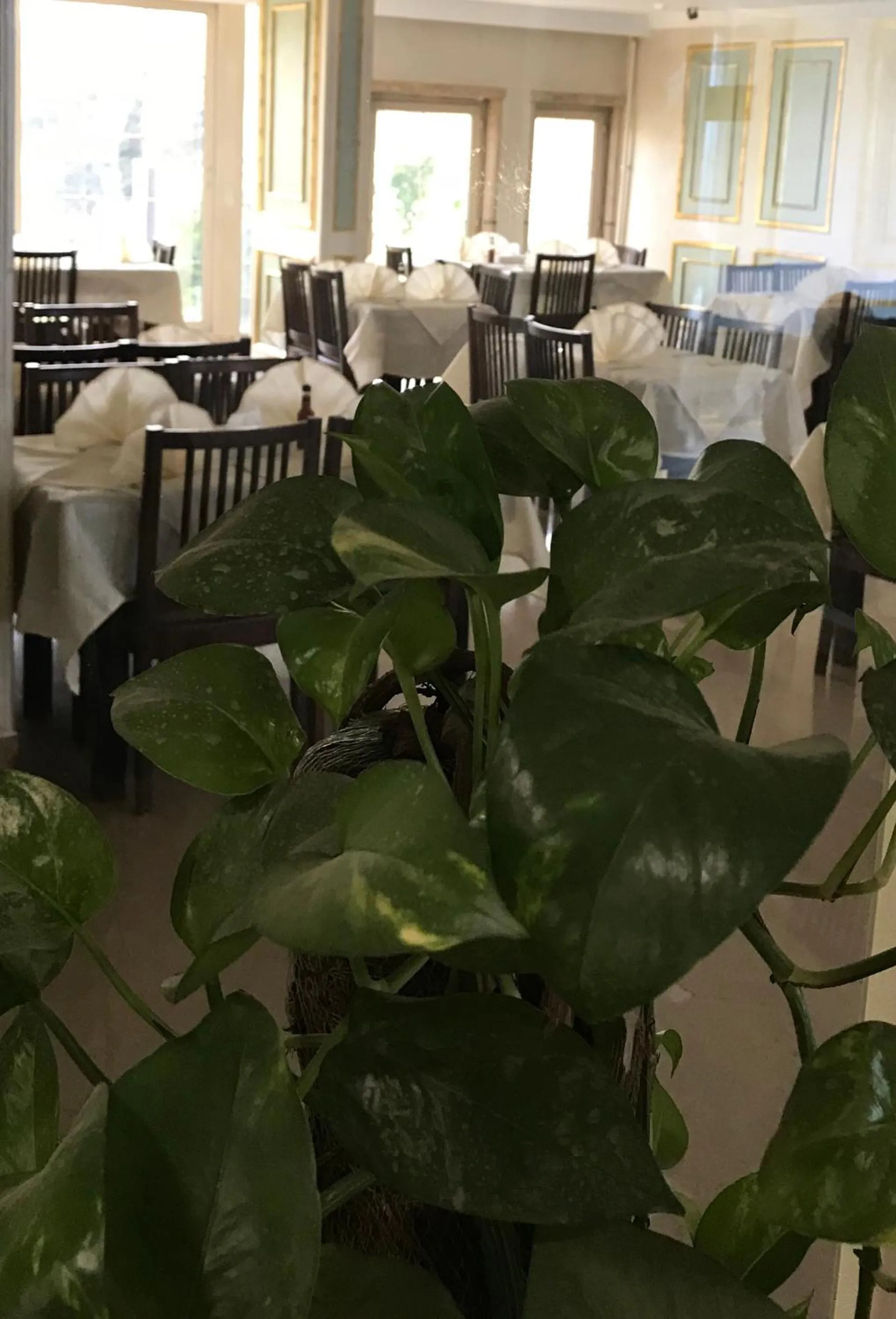 Lunch in Hotel Royal Marshal